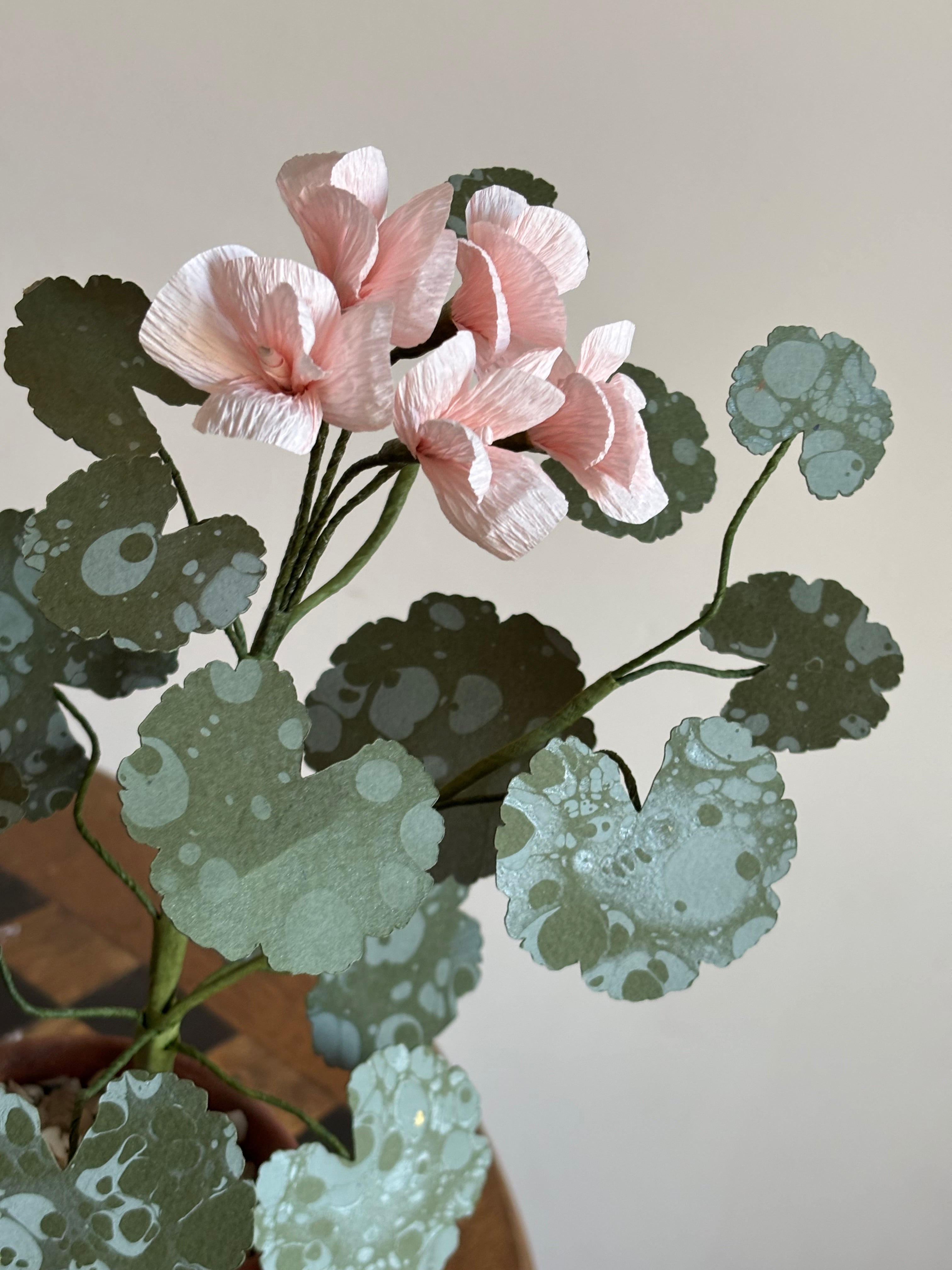 Paper Geranium