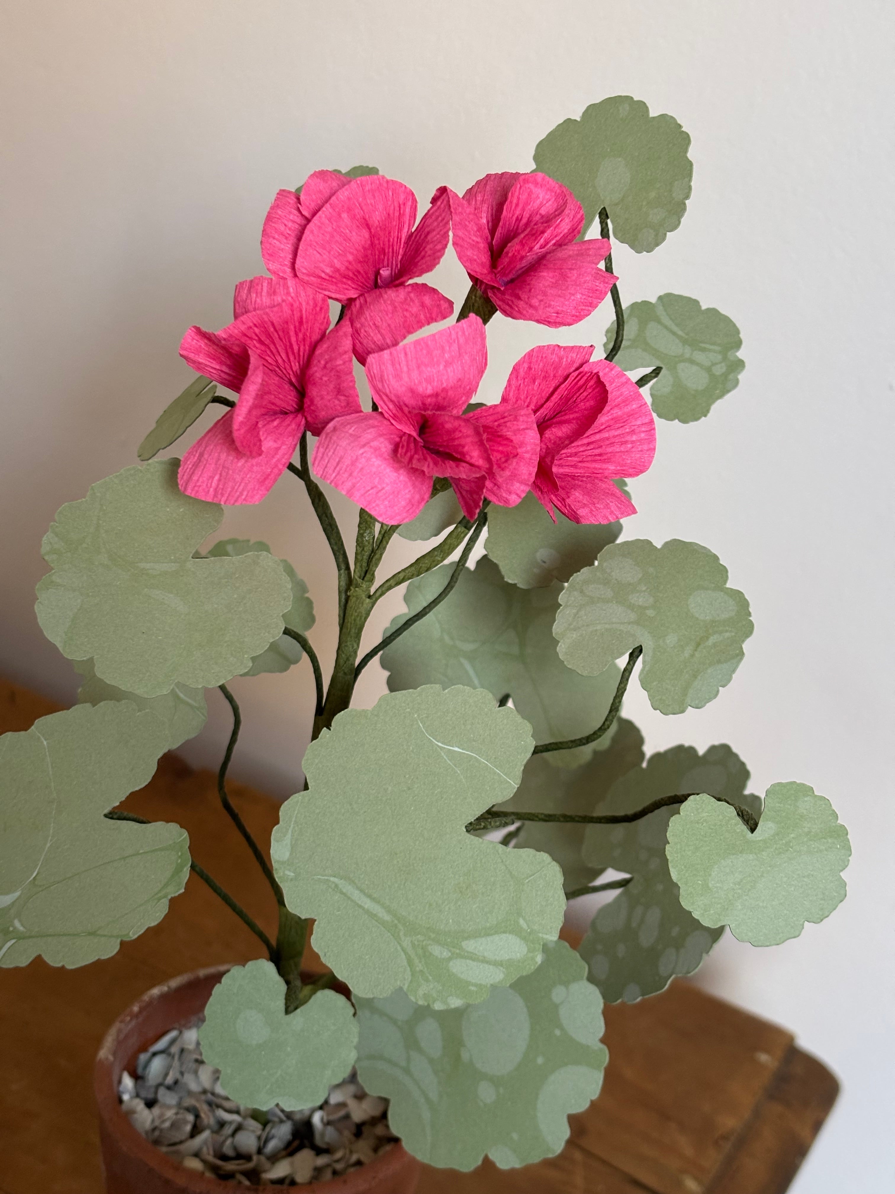 Paper Geranium