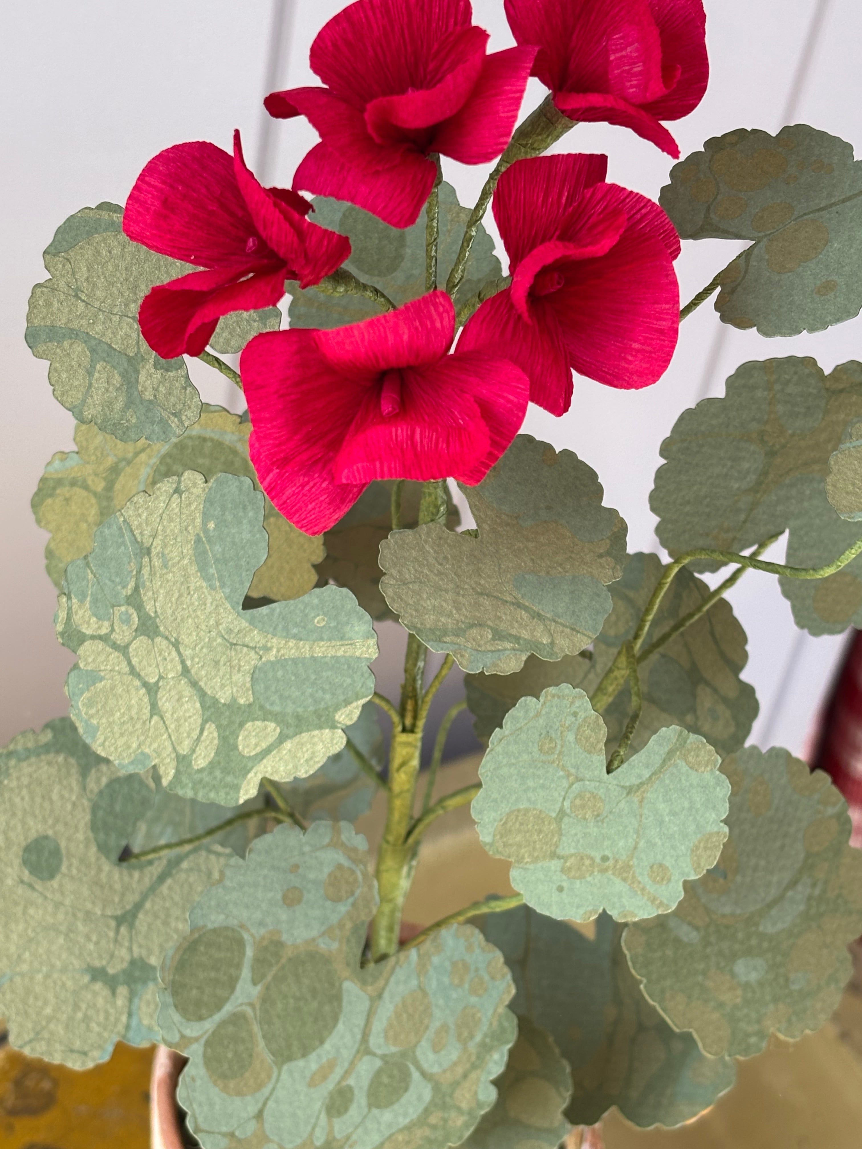 Paper Geranium