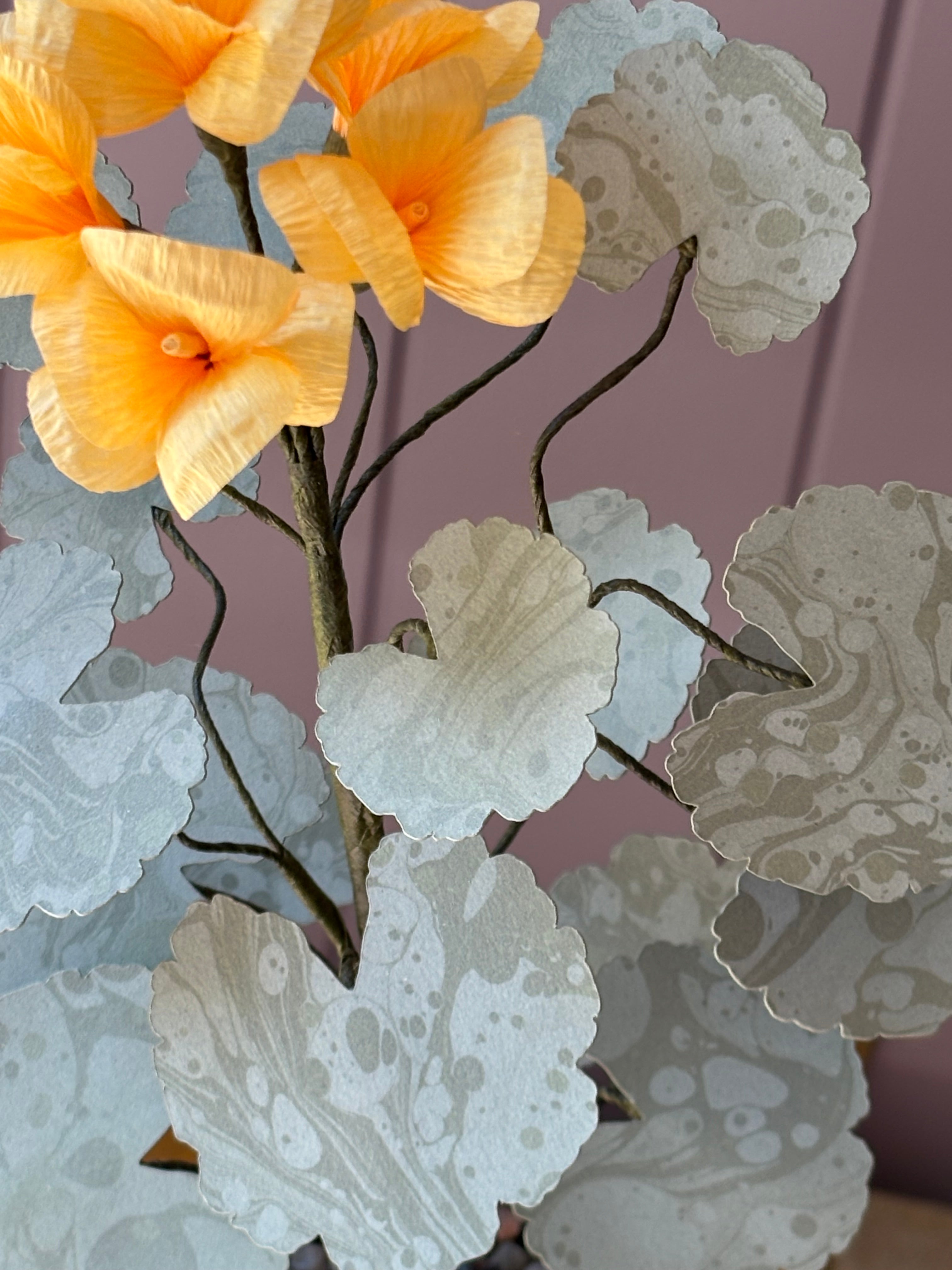 Paper geranium