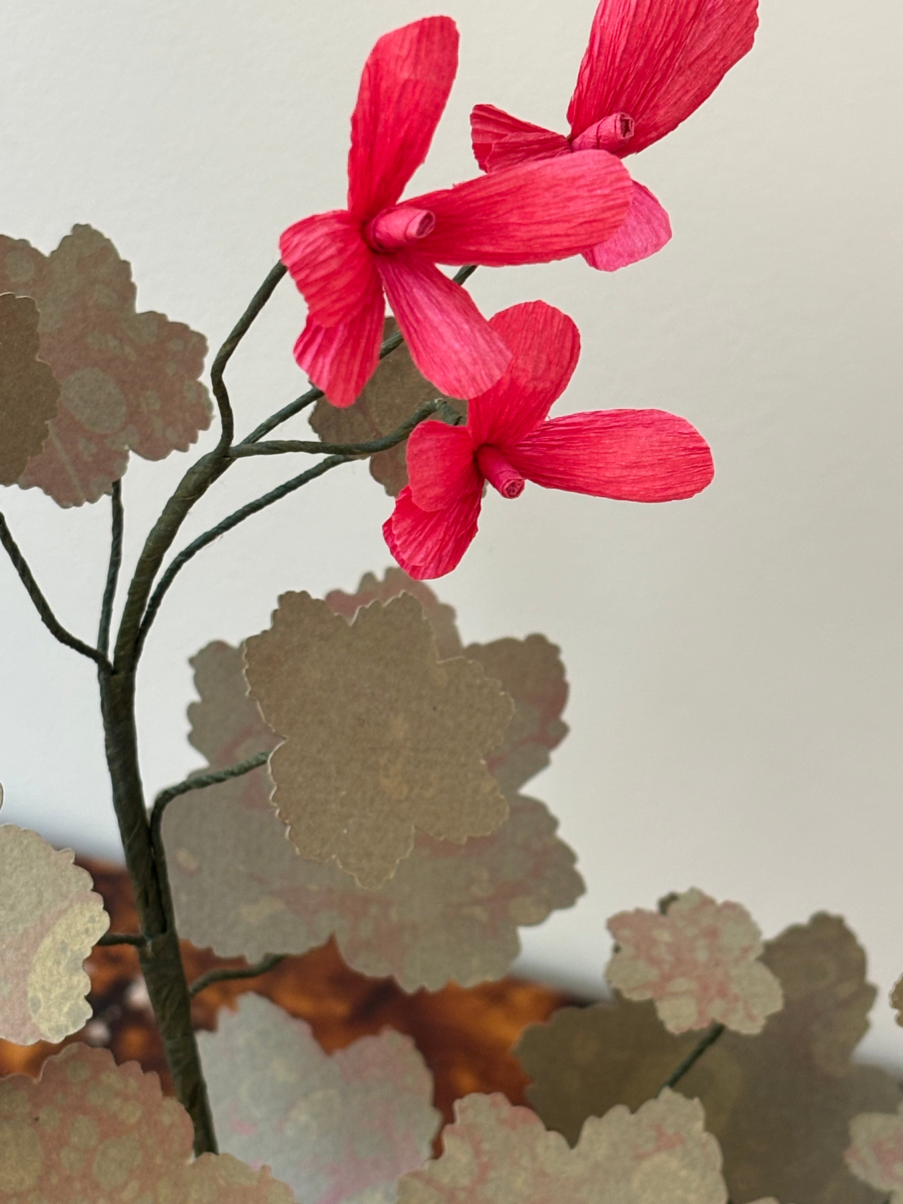 Paper Geranium