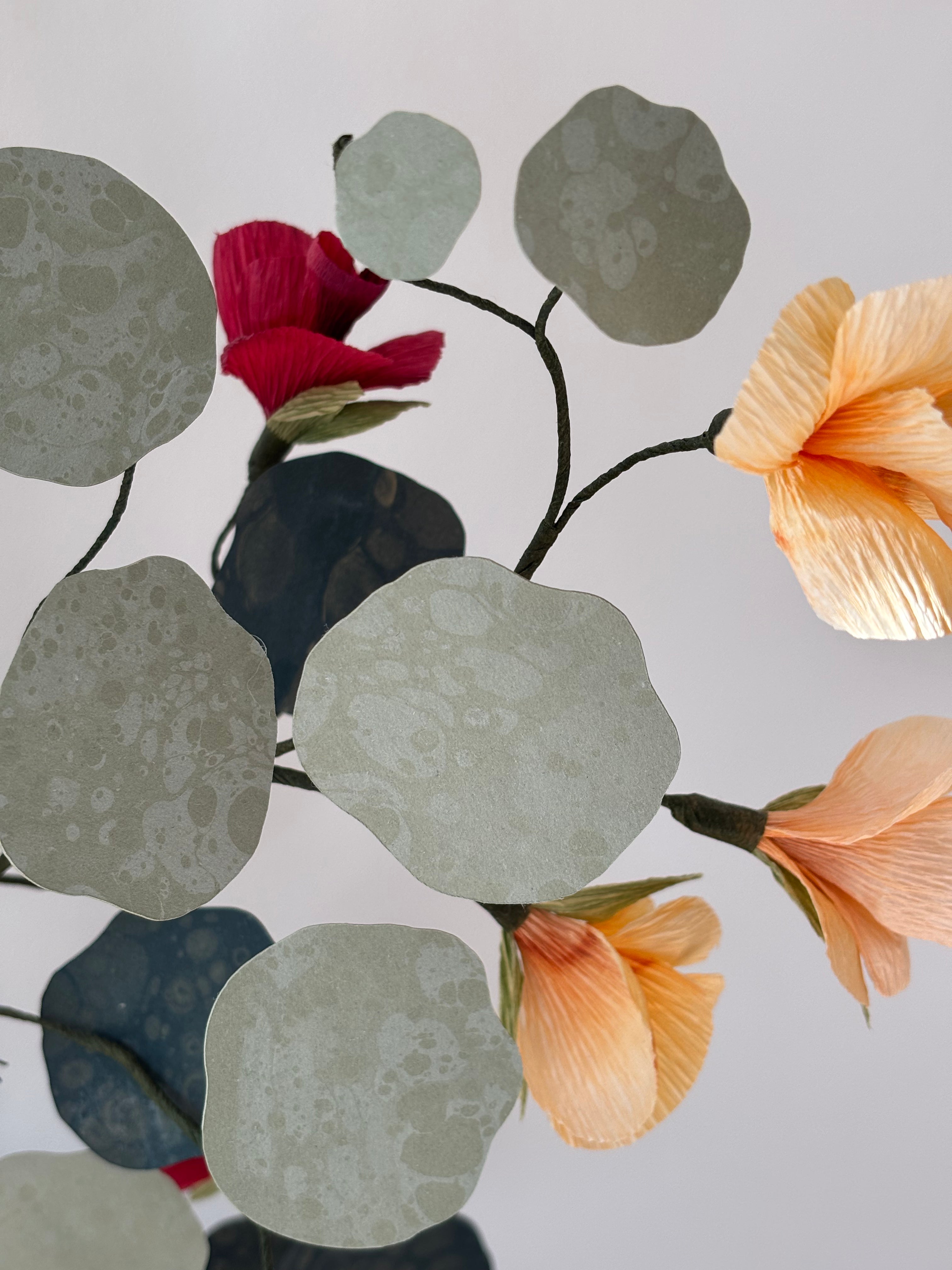 Nasturtium, upright
