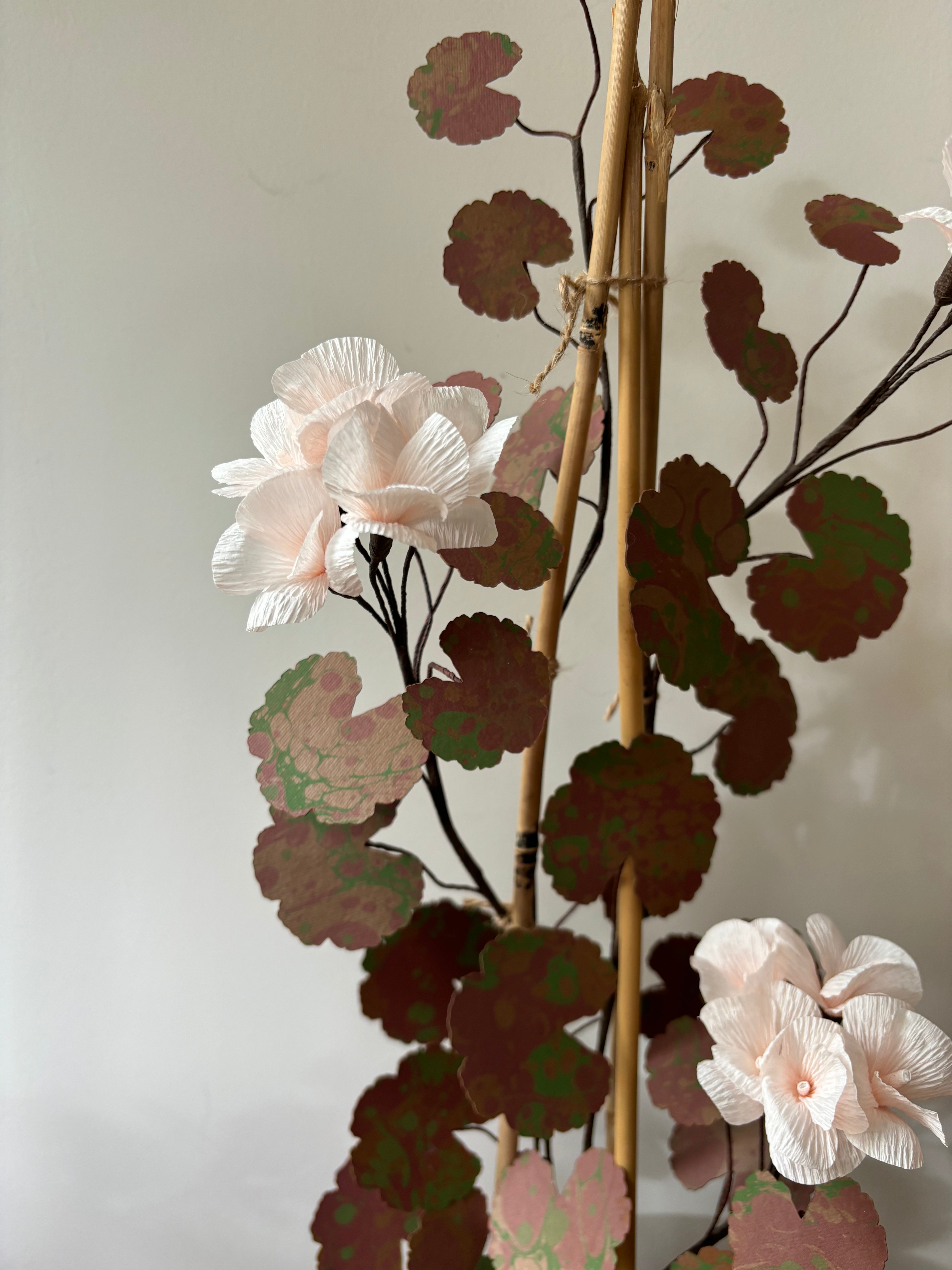 Paper Geranium