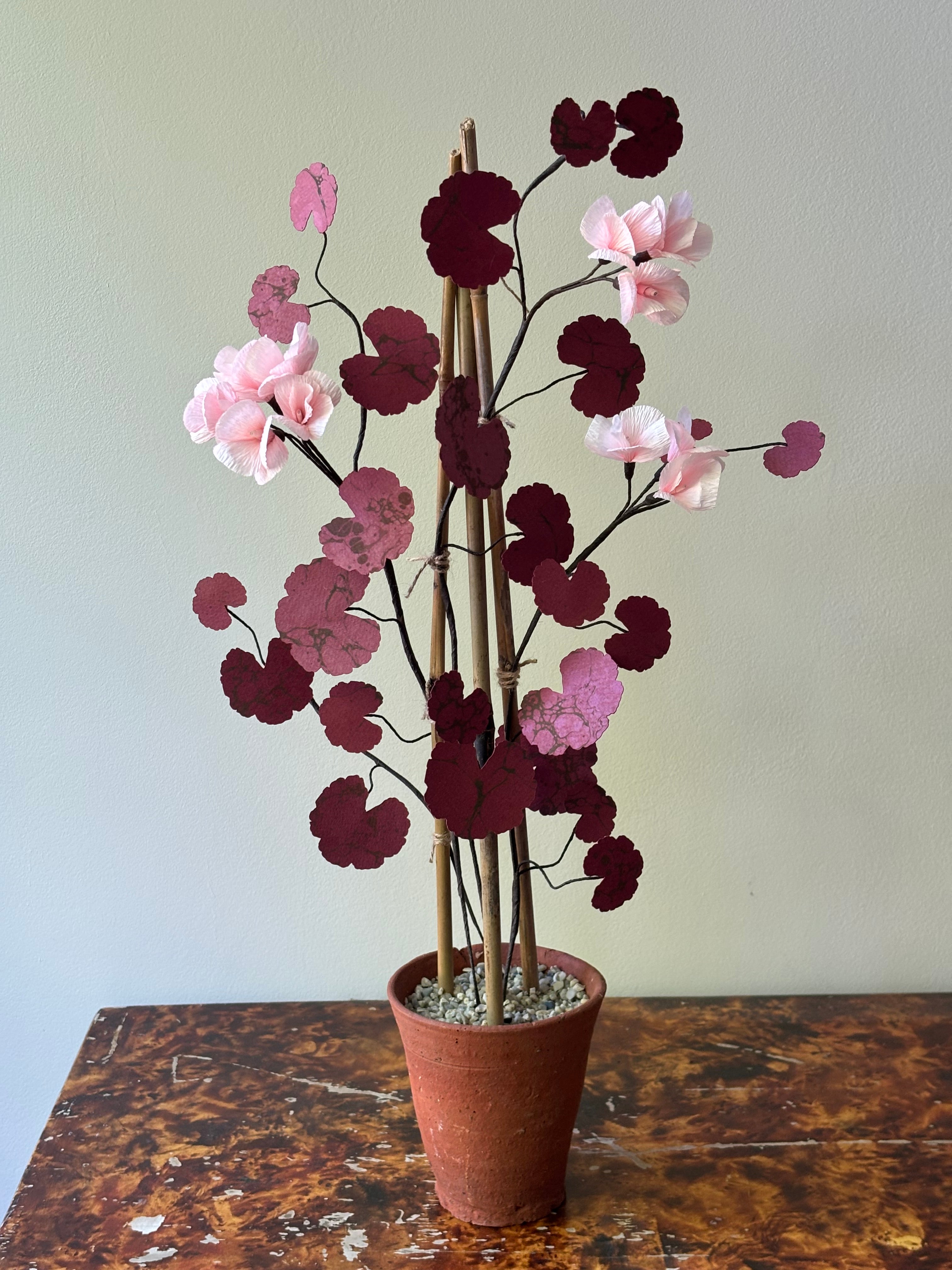 Paper Geranium