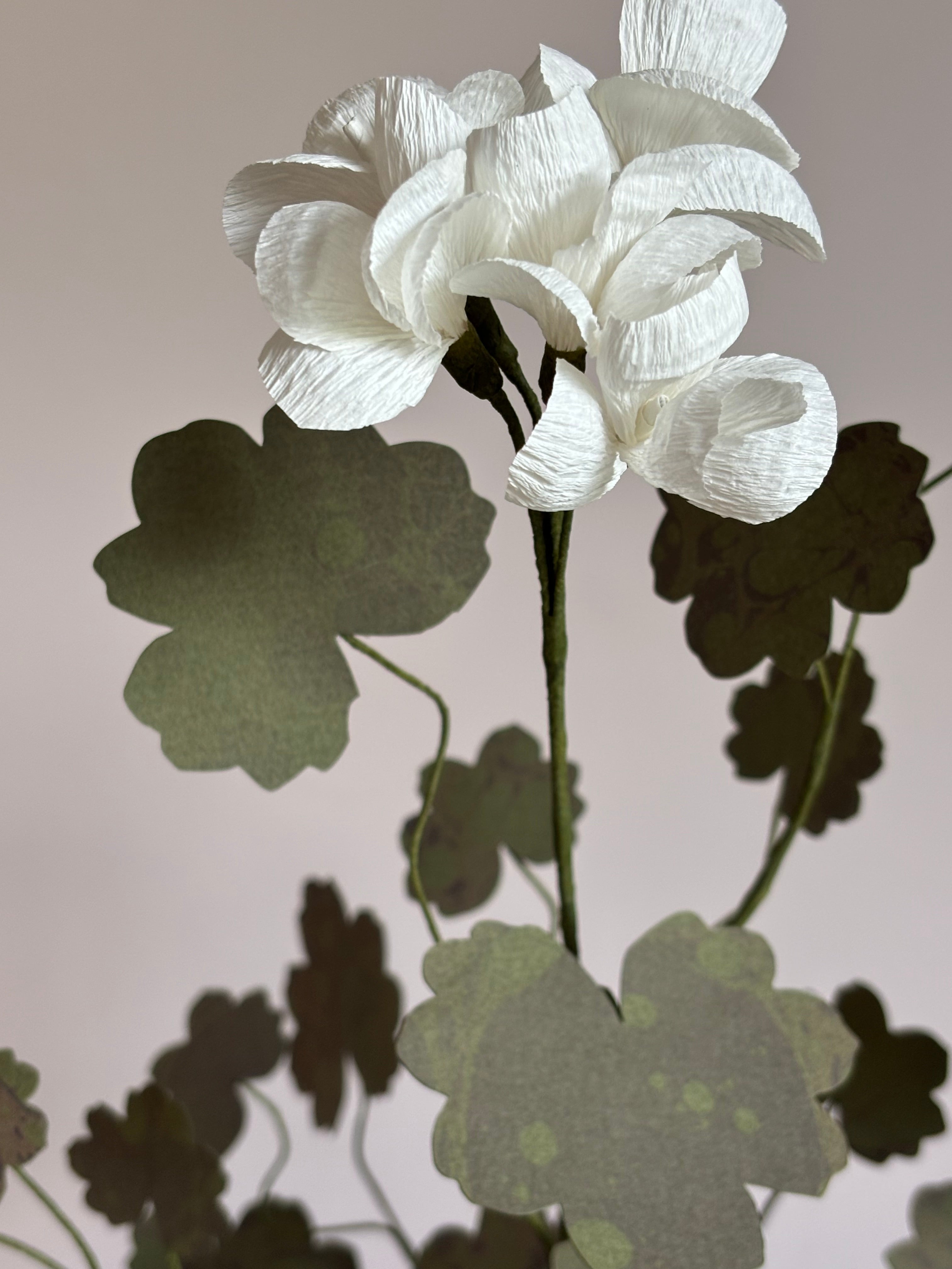 Paper Geranium