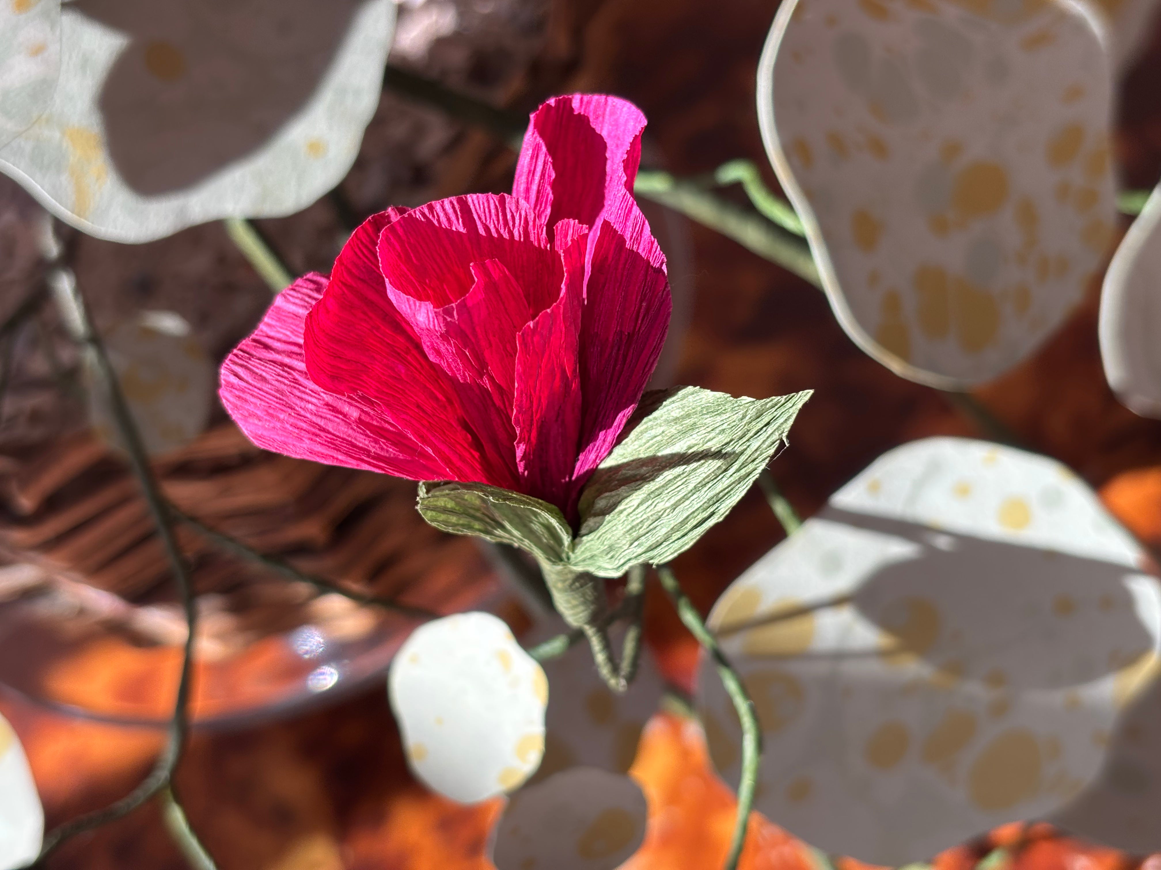 Nasturtium, trailing
