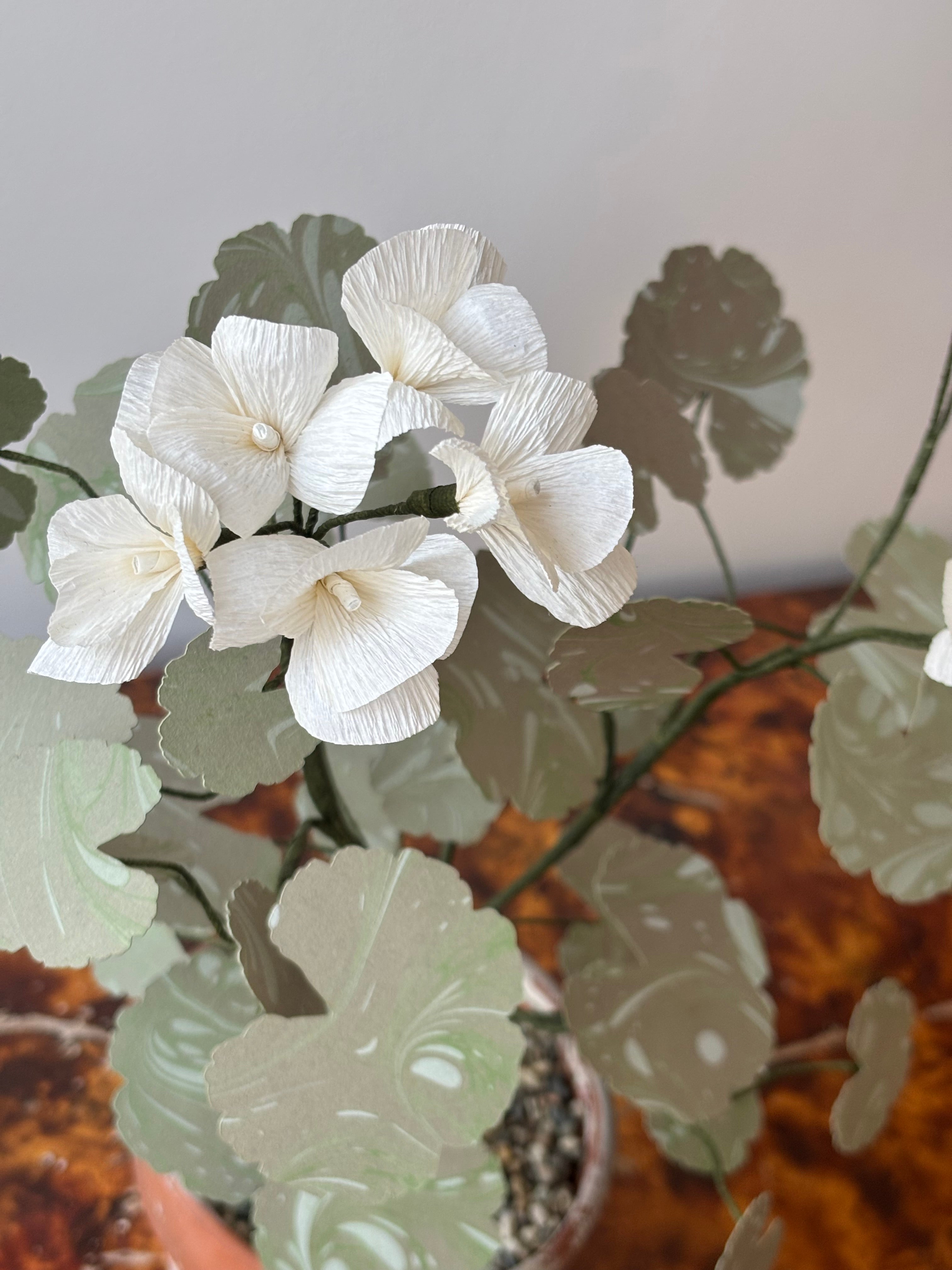 Paper Geranium