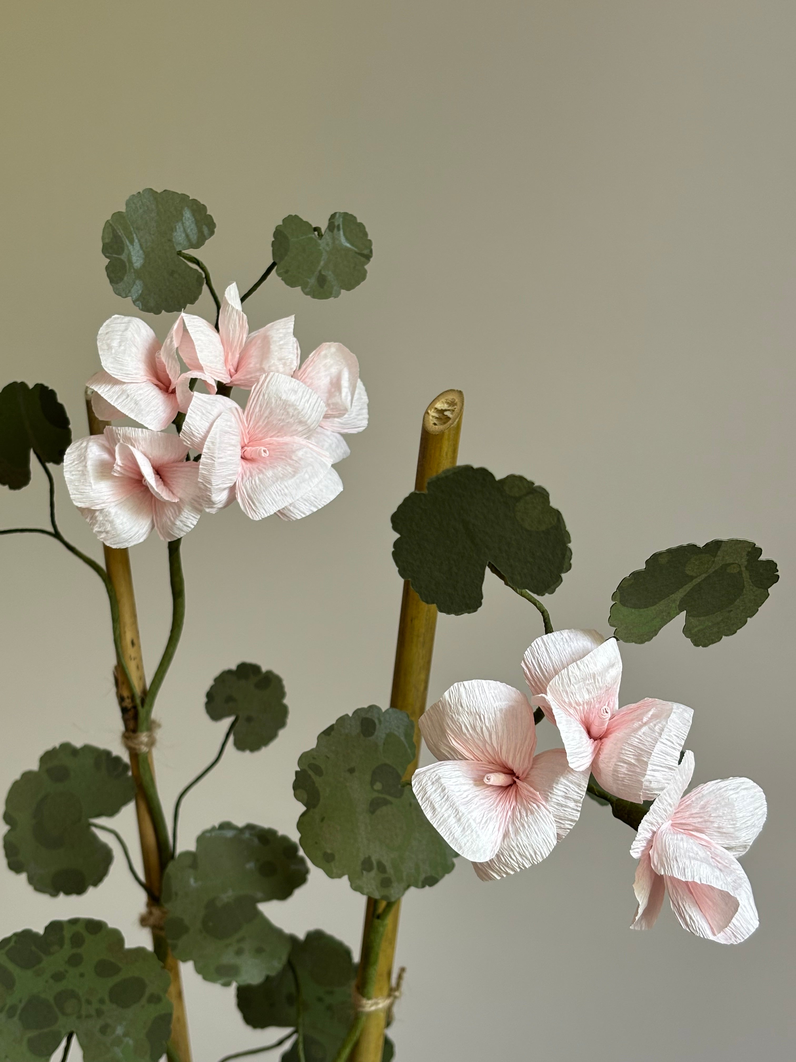 Paper Geranium