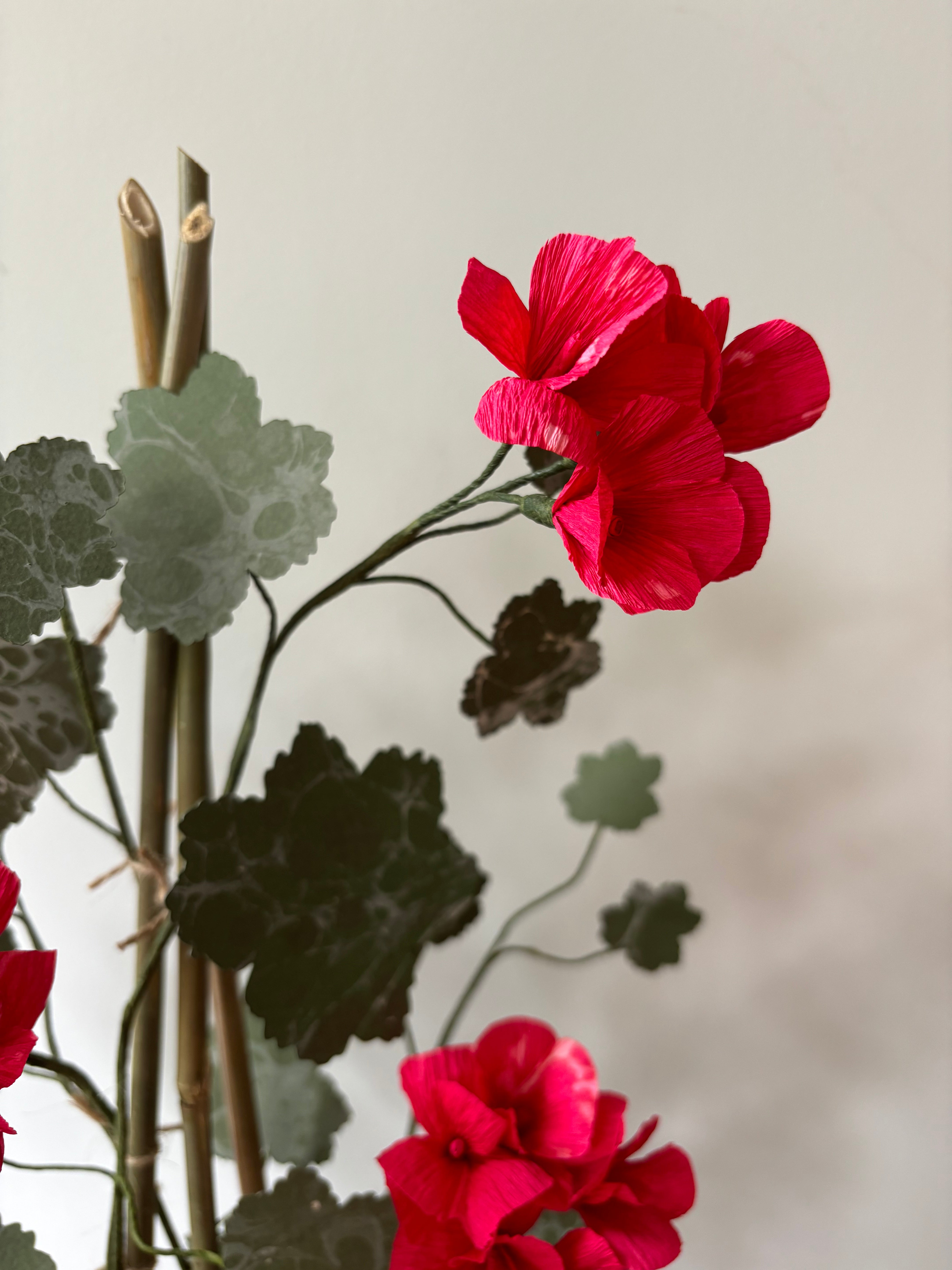 Paper Geranium