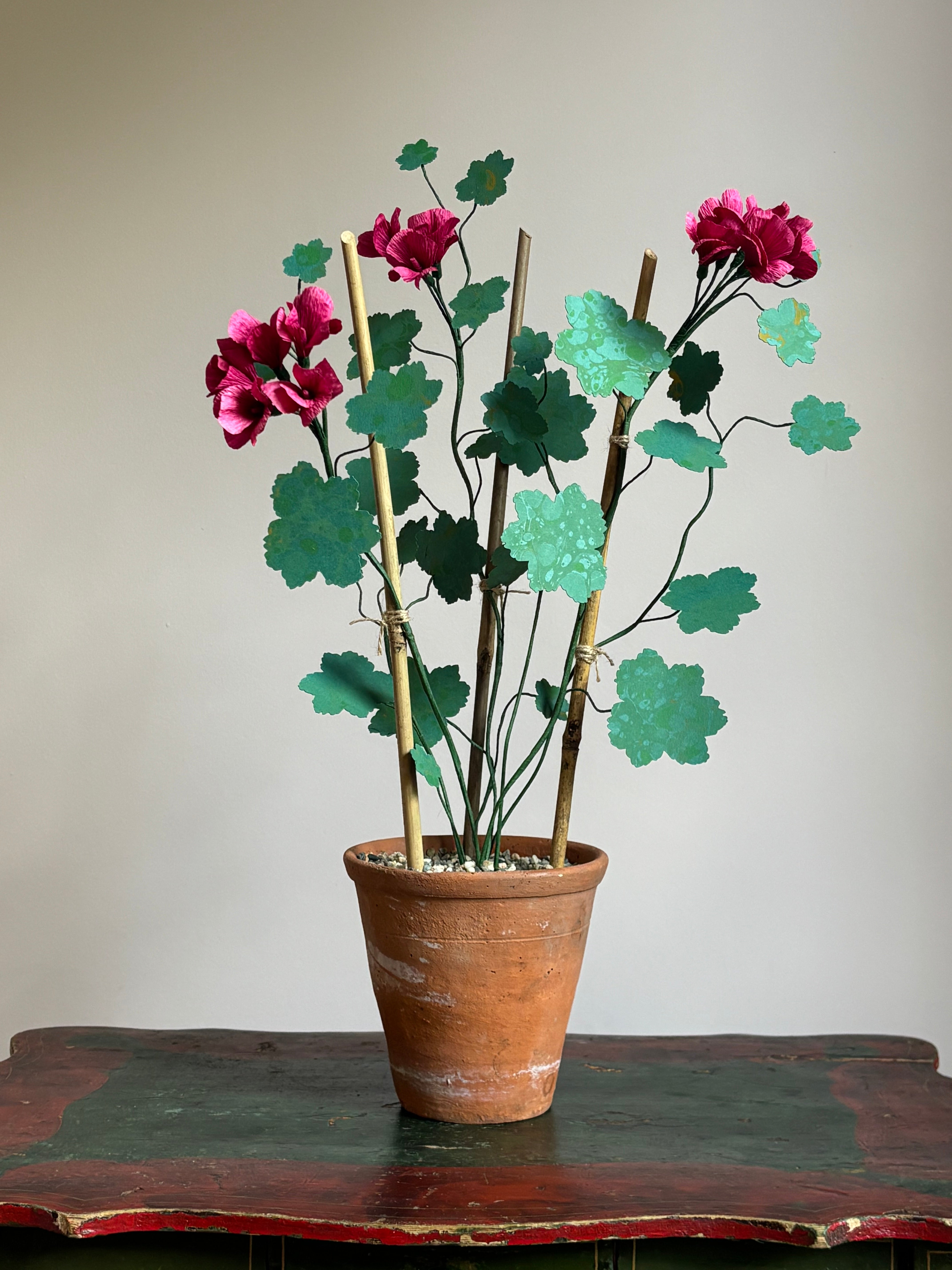 Paper Geranium