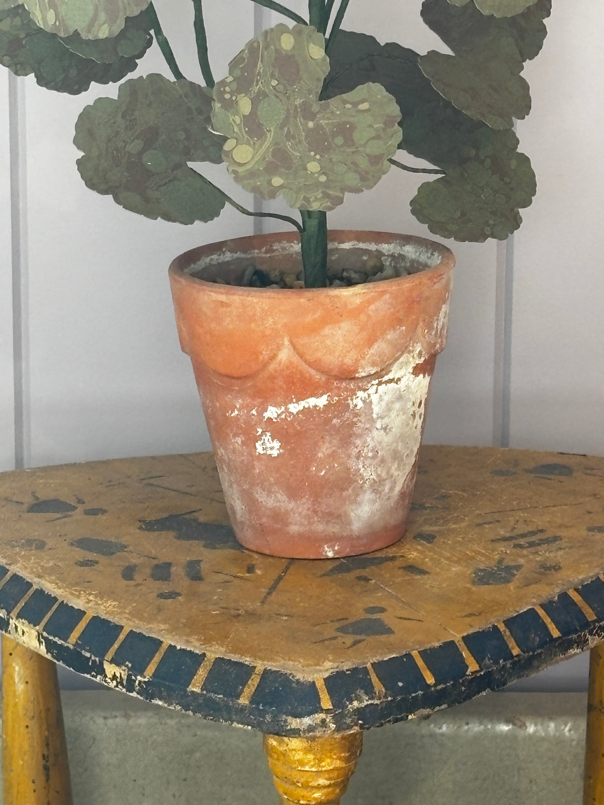 Paper geranium, scallop pot