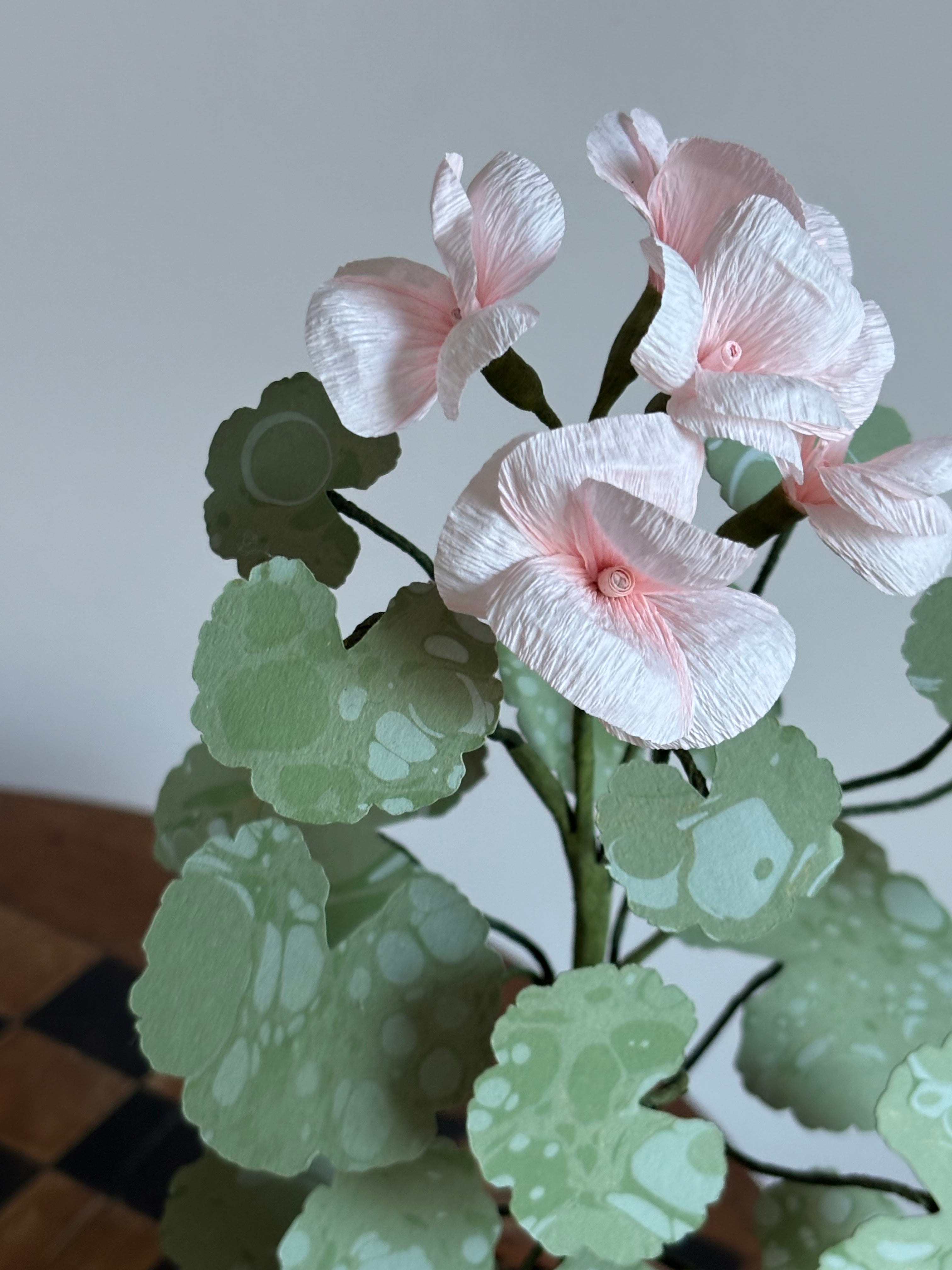 Paper Geranium hh