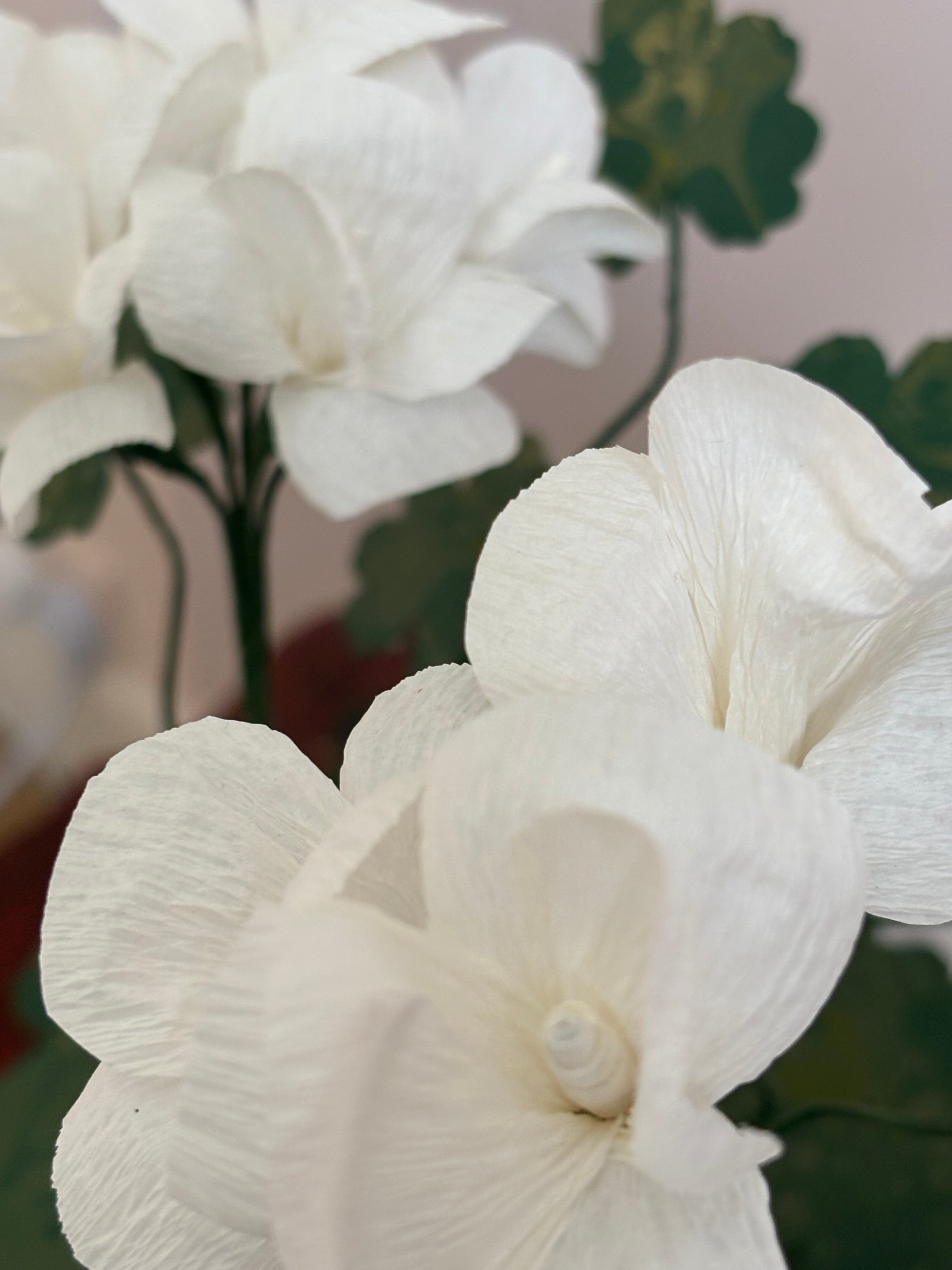Paper Geranium