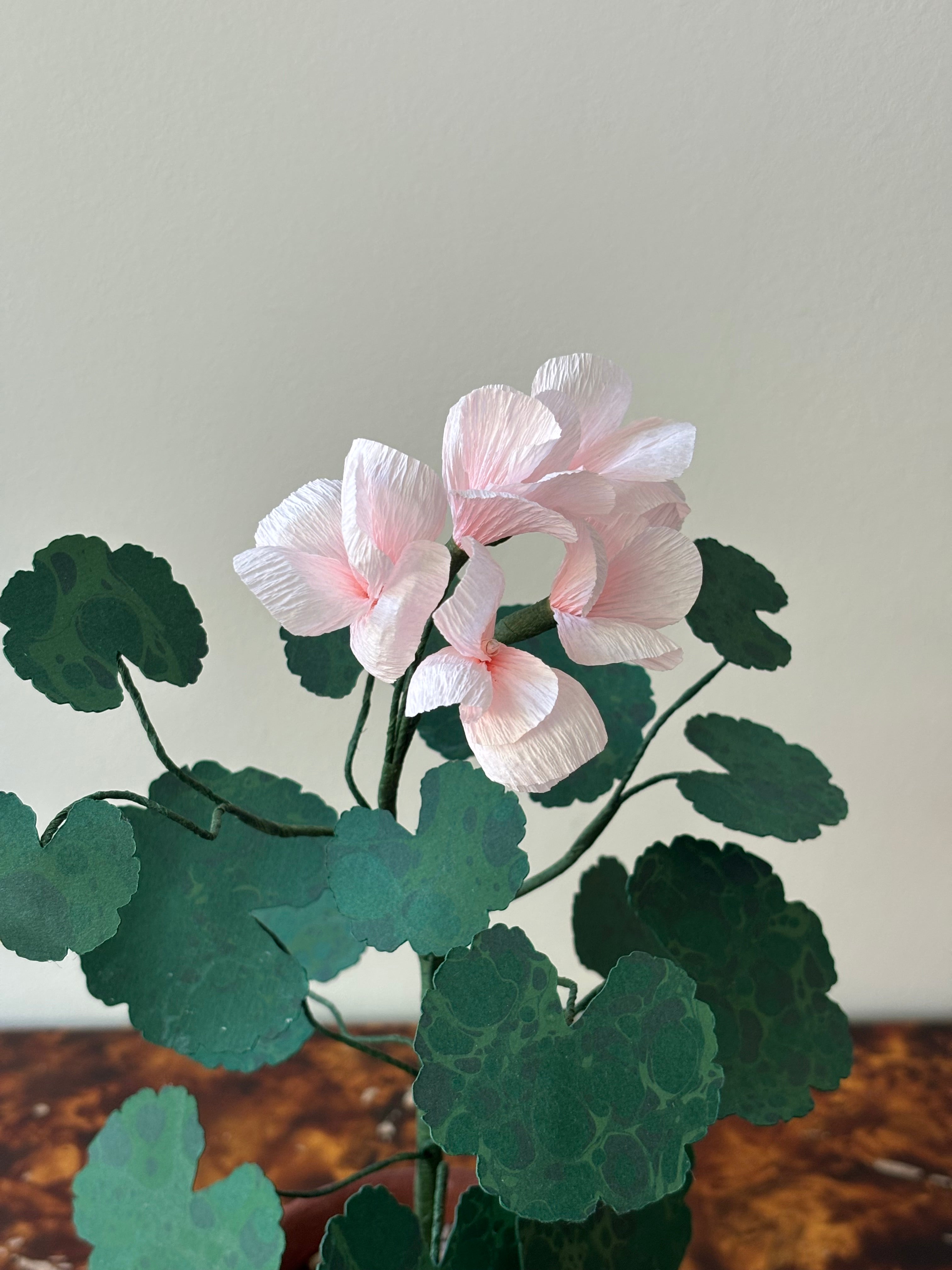 Paper Geranium