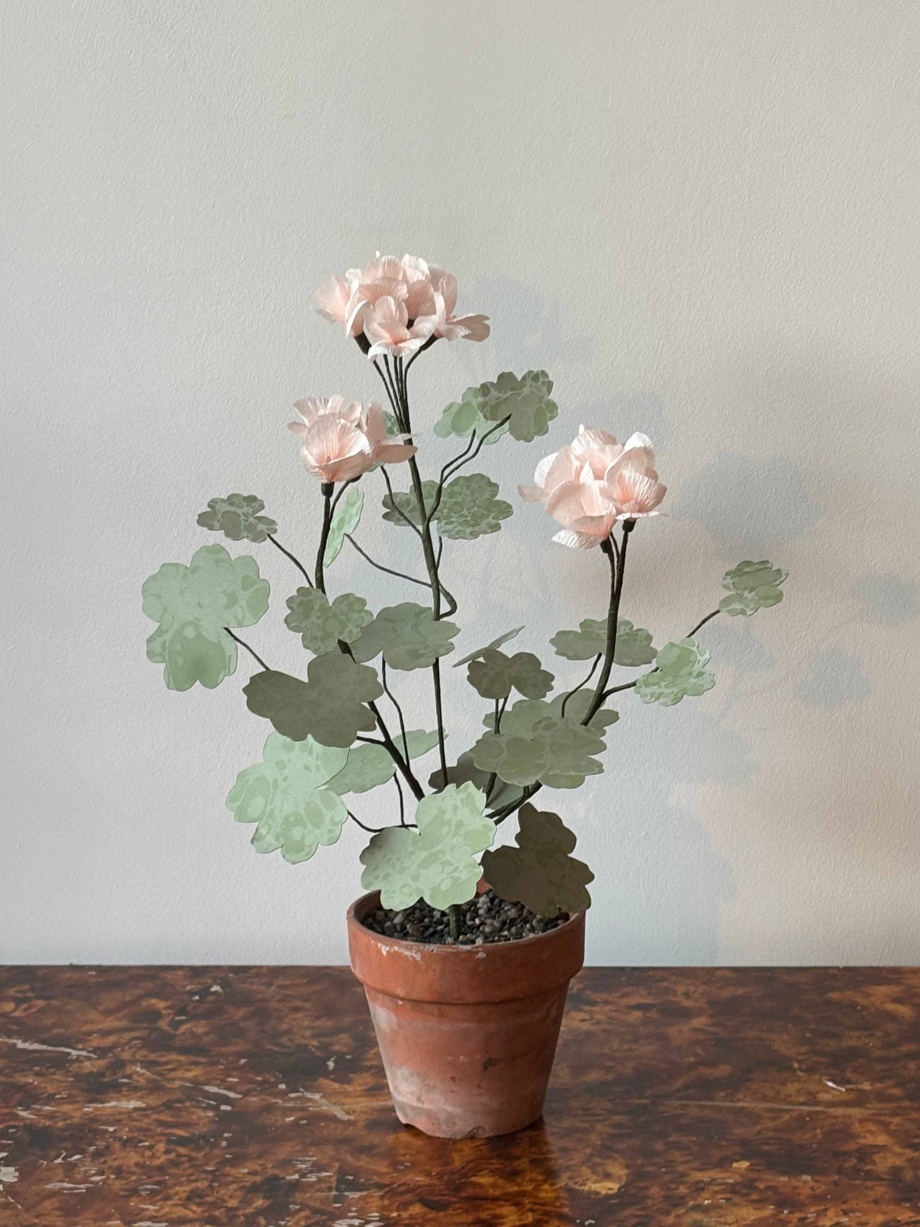 Paper Geranium