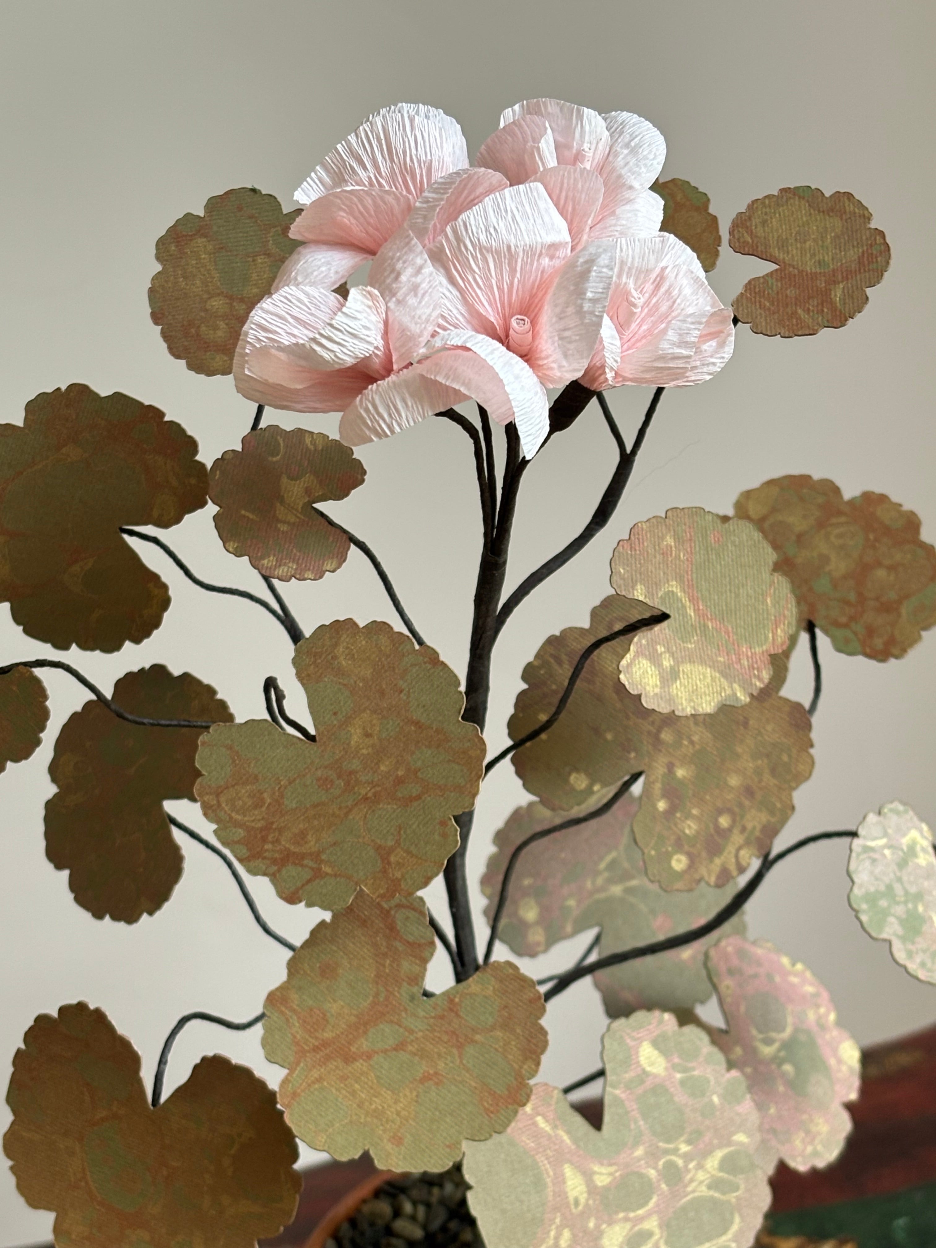 Paper Geraniums
