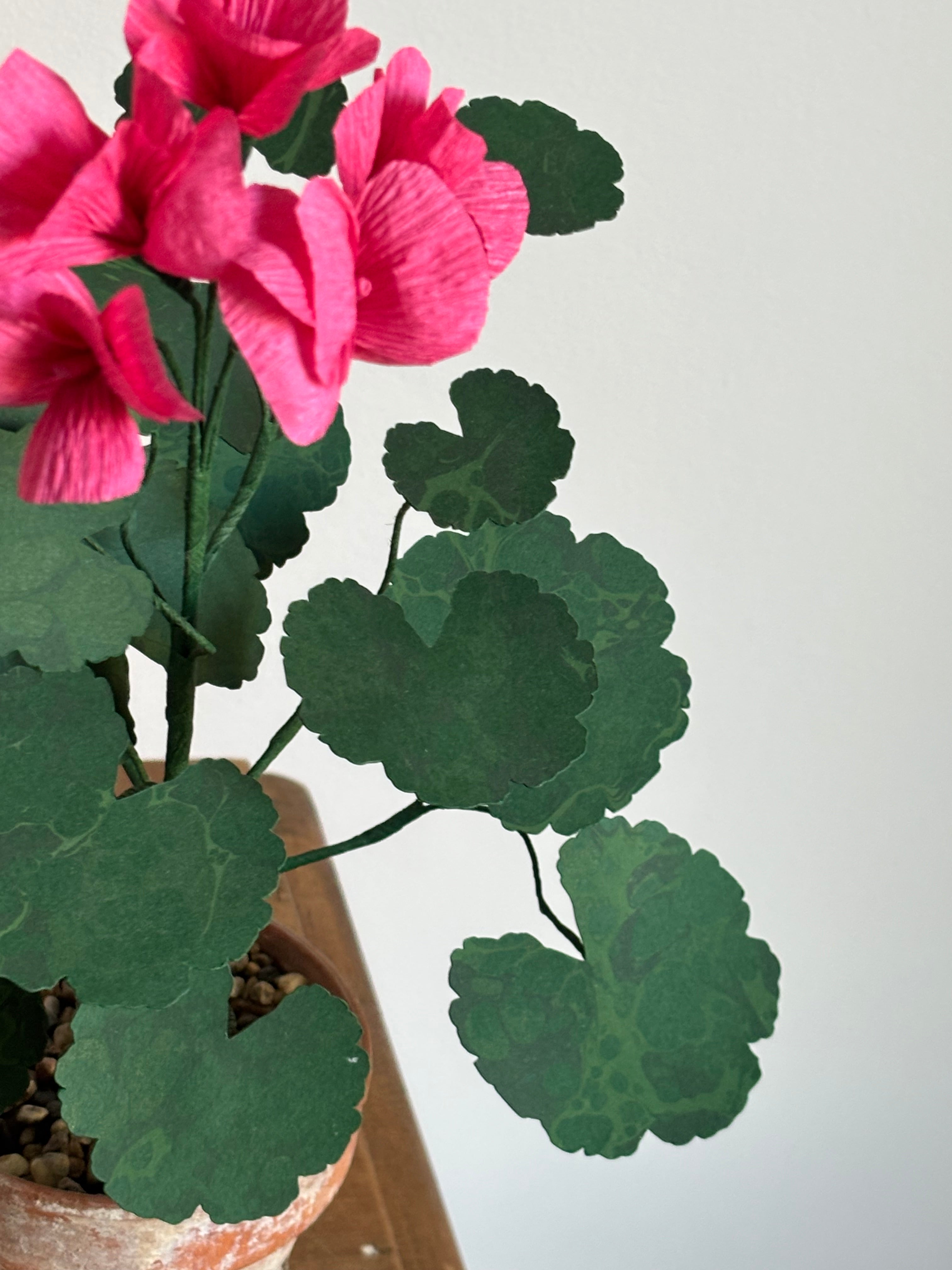 Paper Geranium