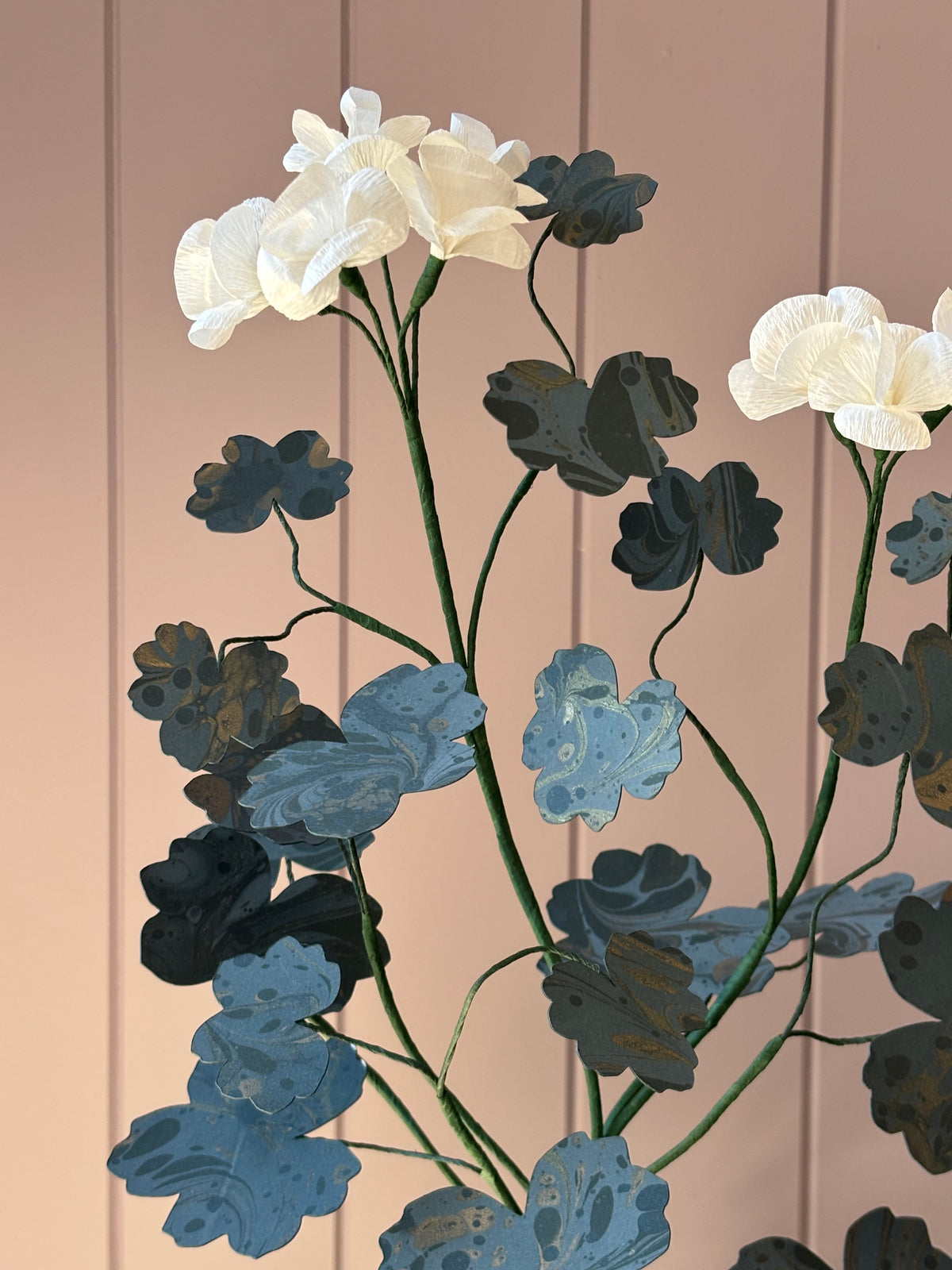 Paper geranium