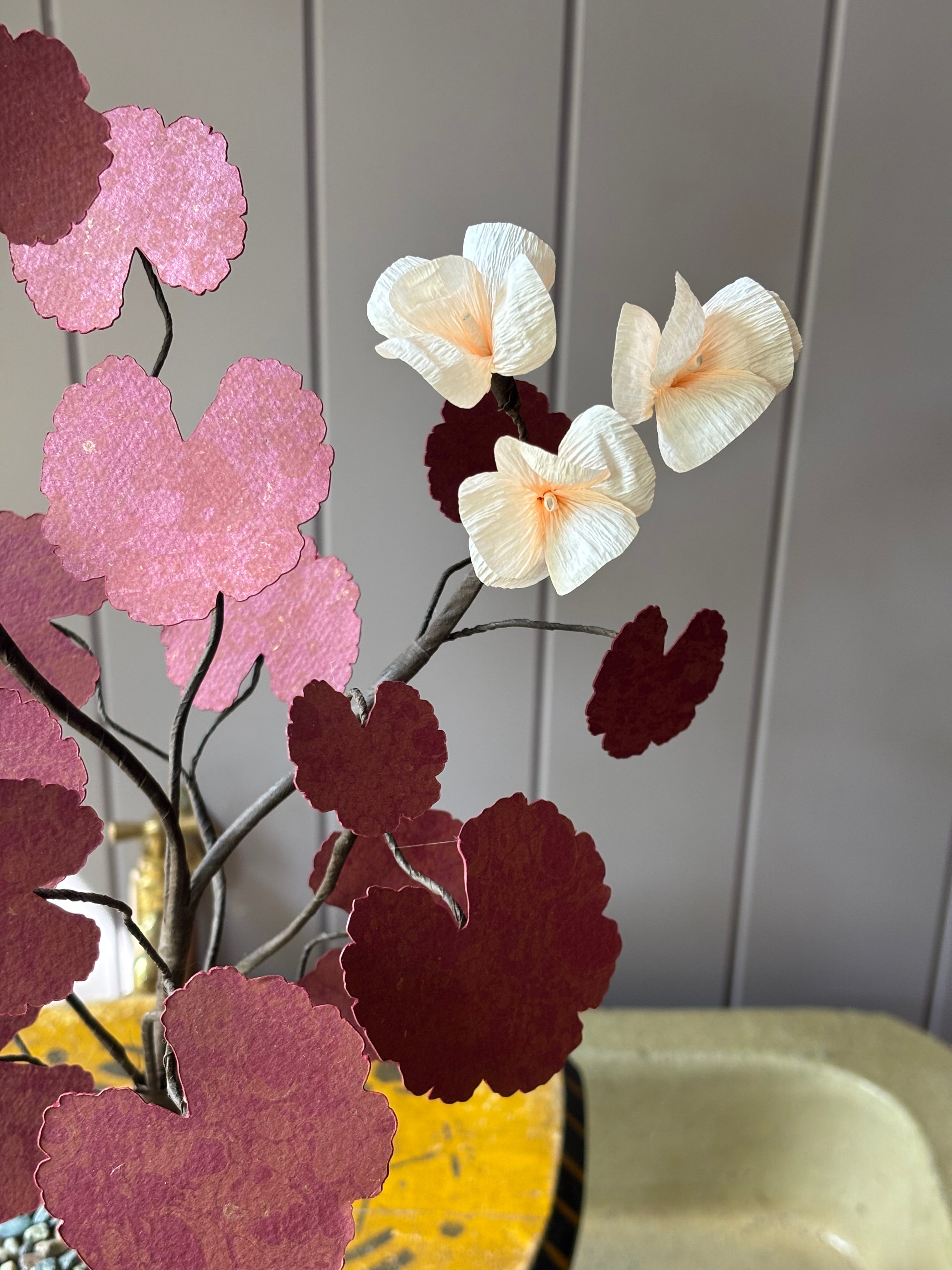 Paper geranium