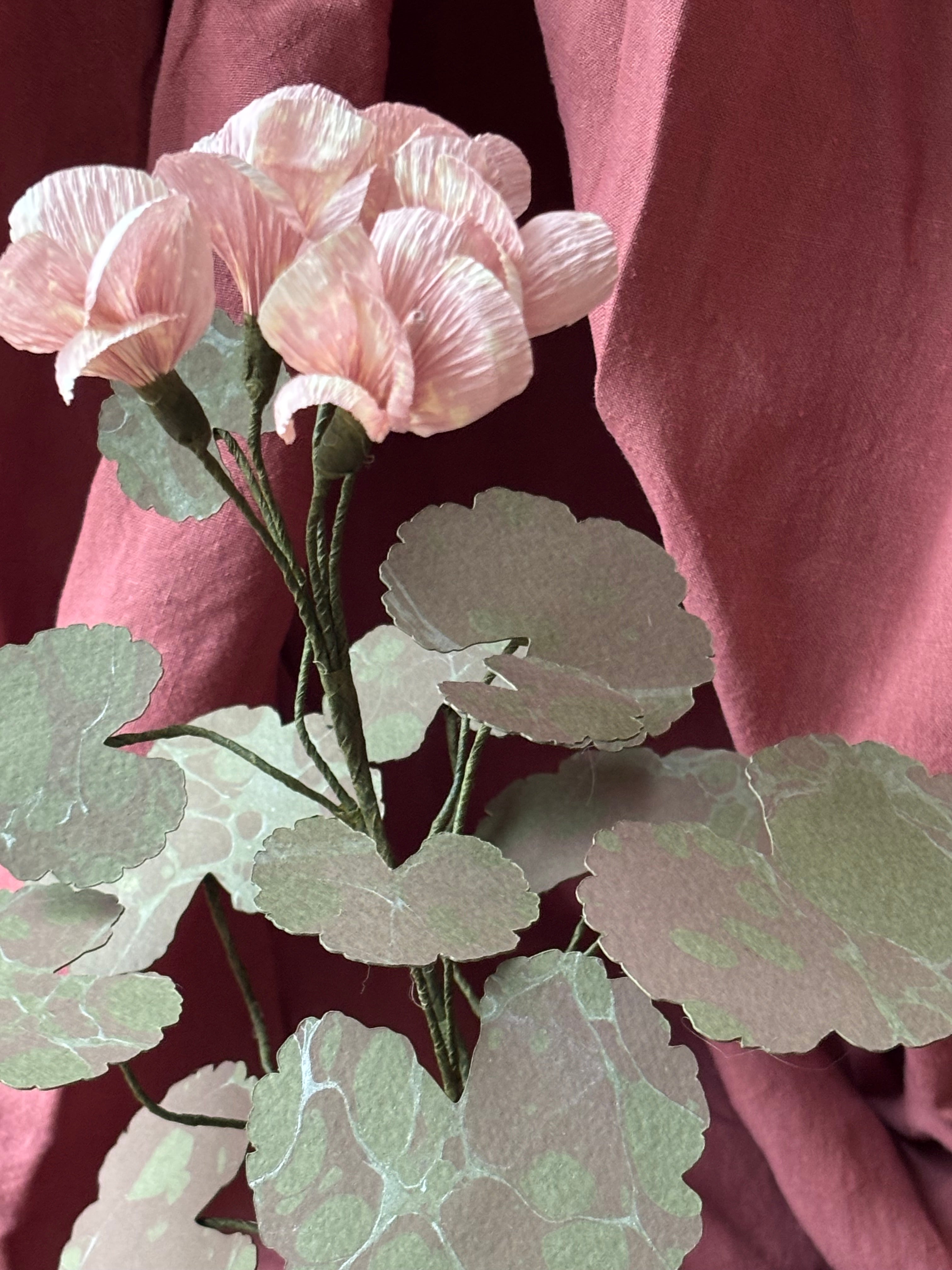 Paper Geranium