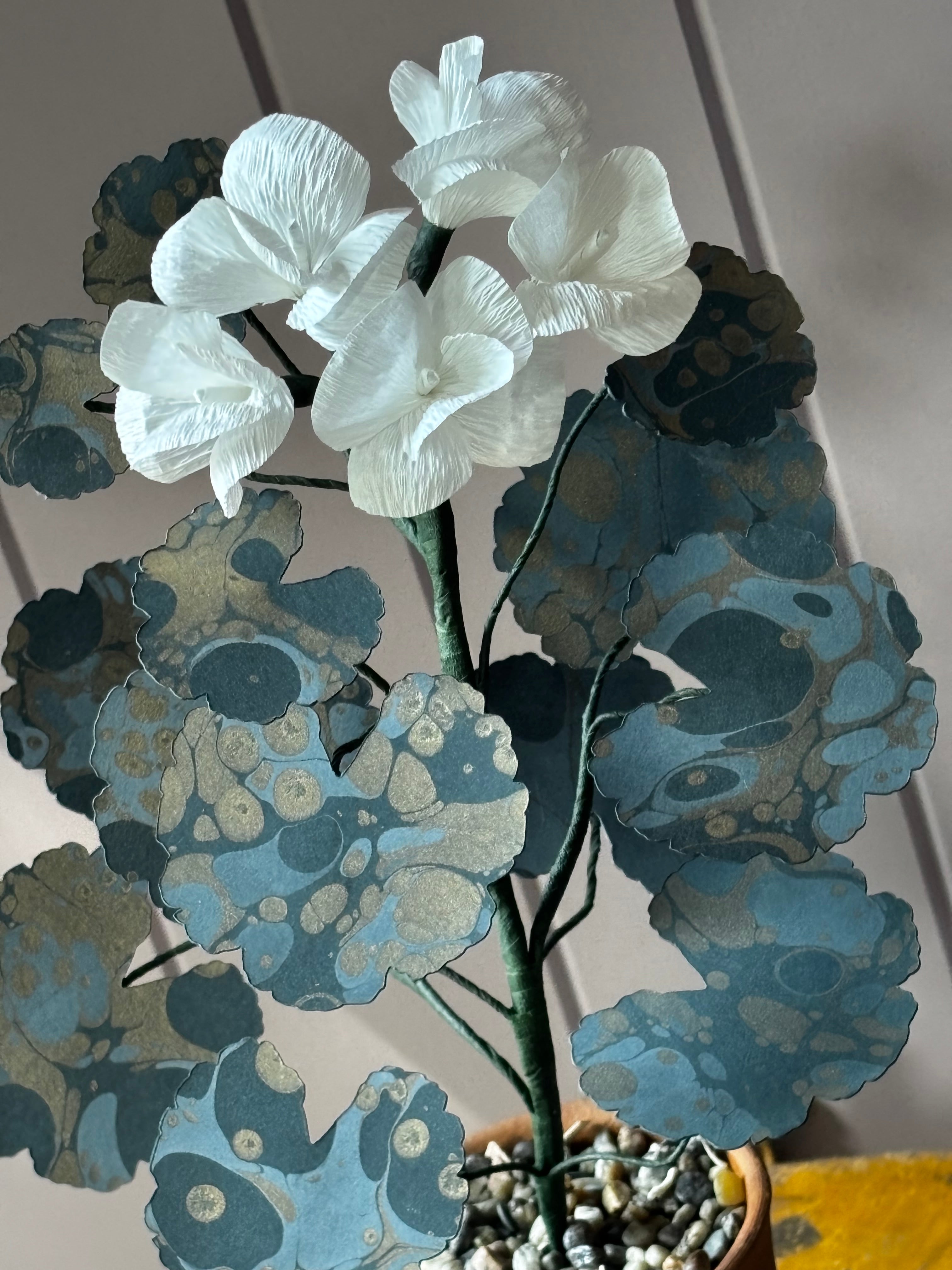 Paper geranium