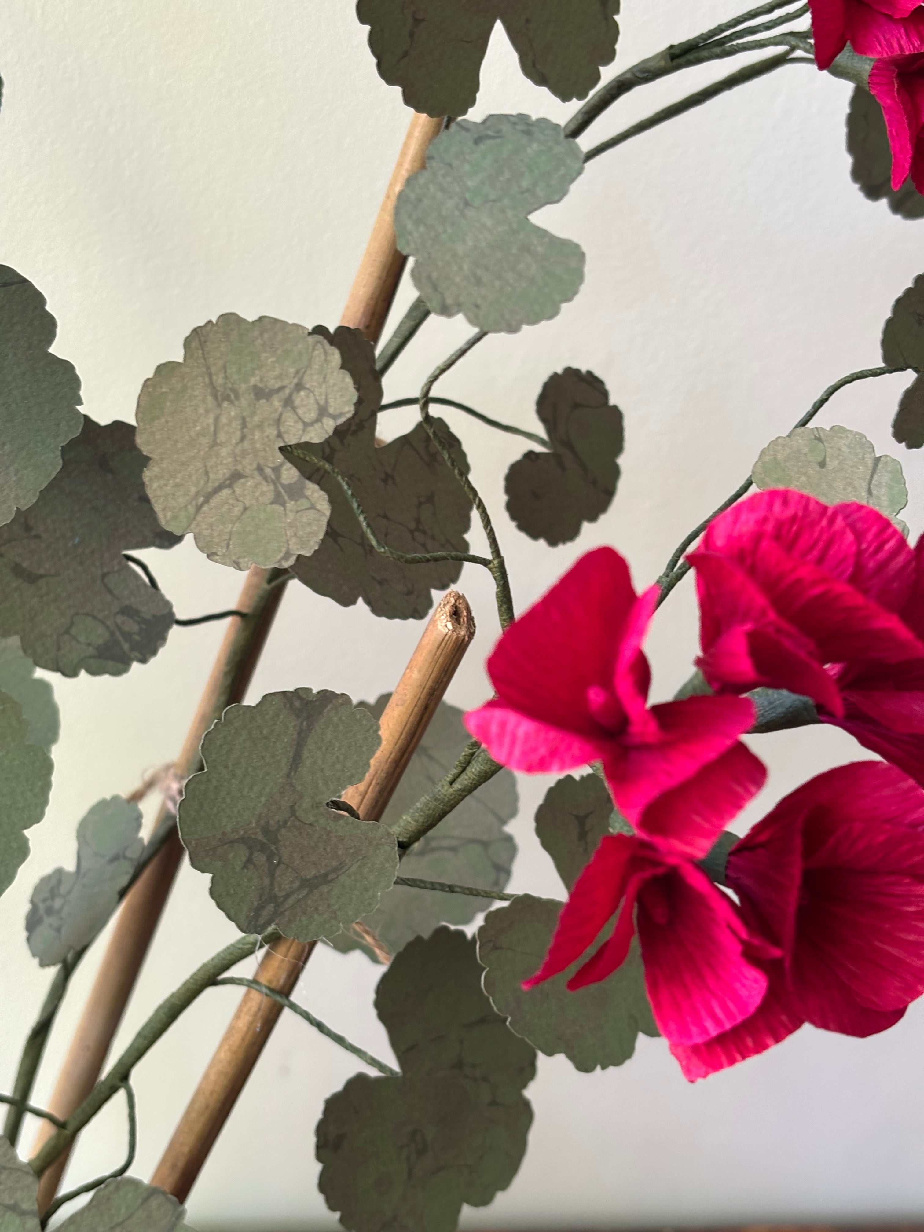 Paper Geranium