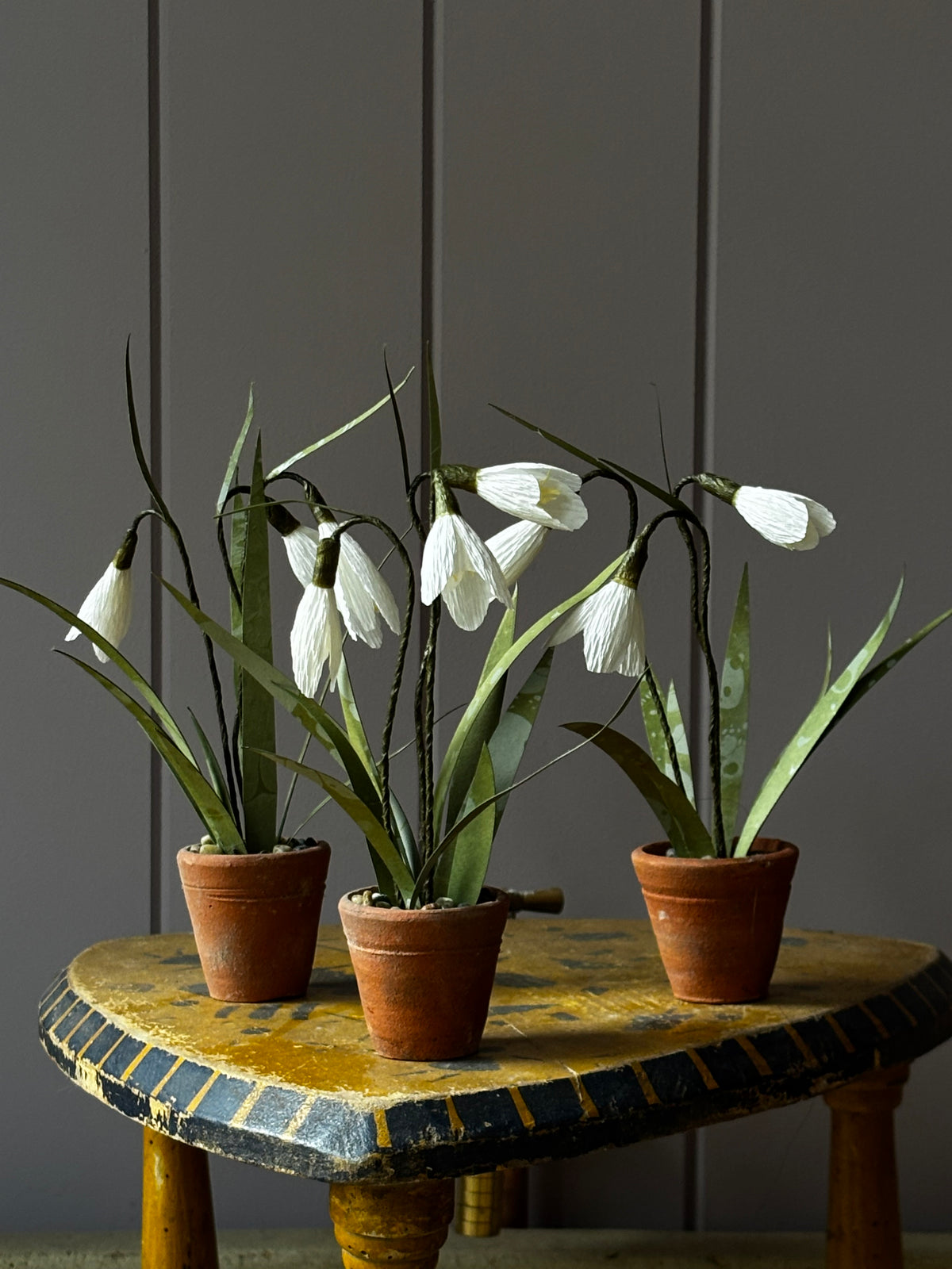 Little snowdrop (1)