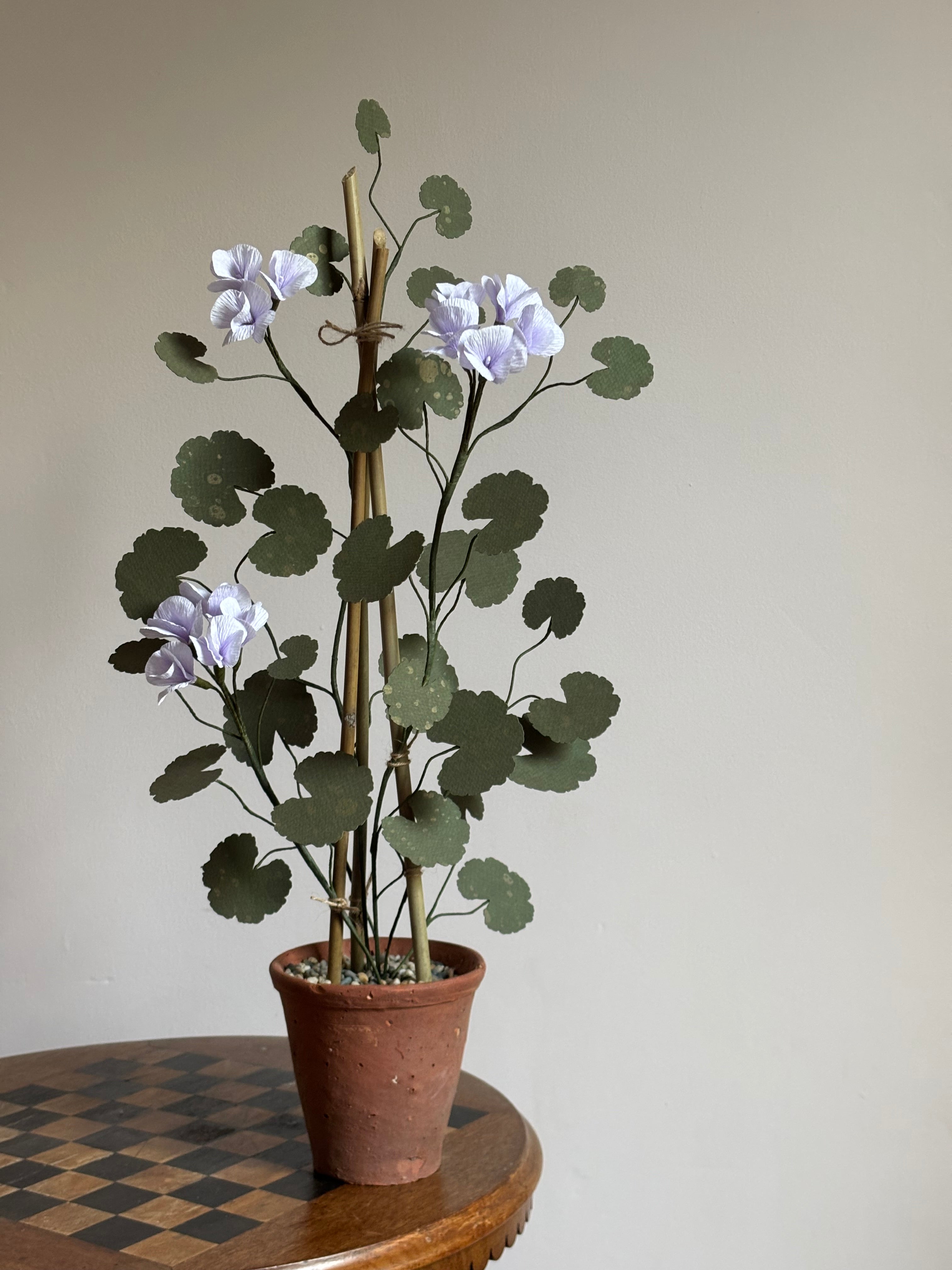 Paper Geranium
