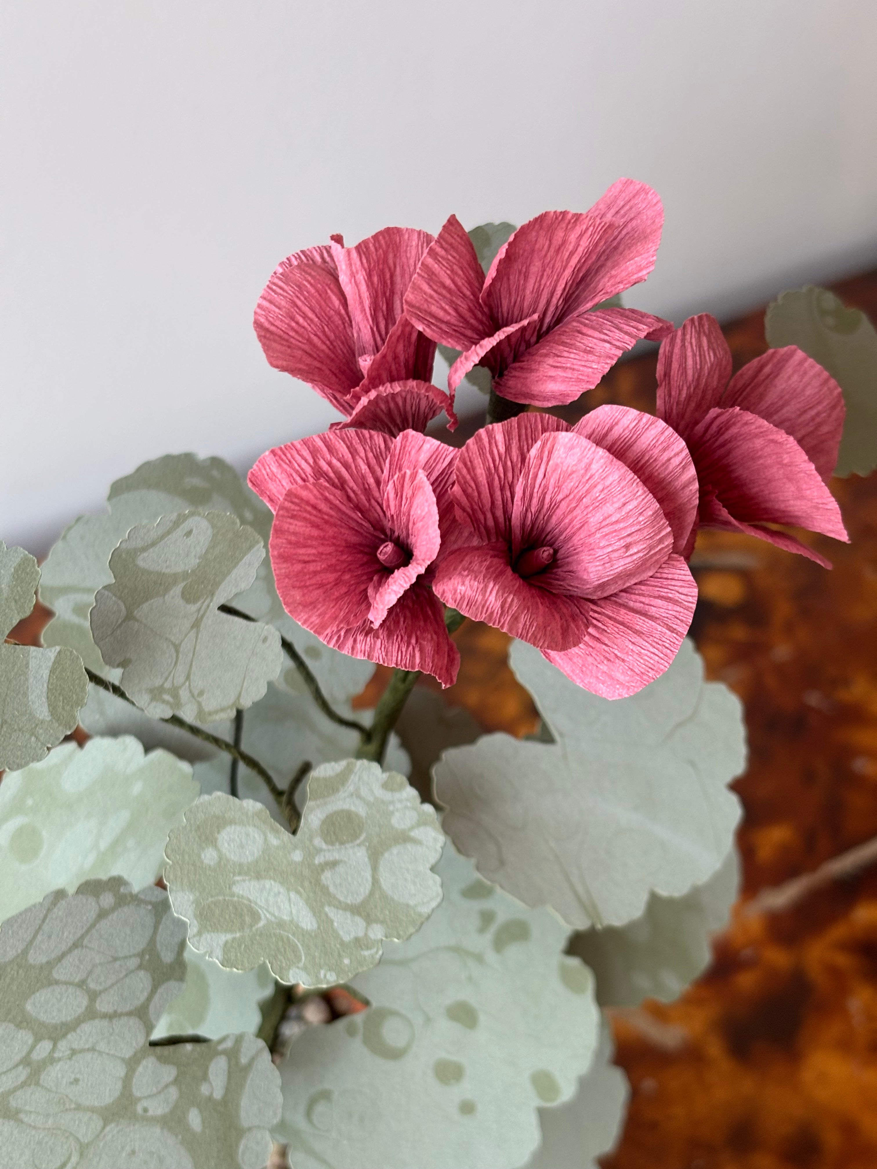 Paper Geranium