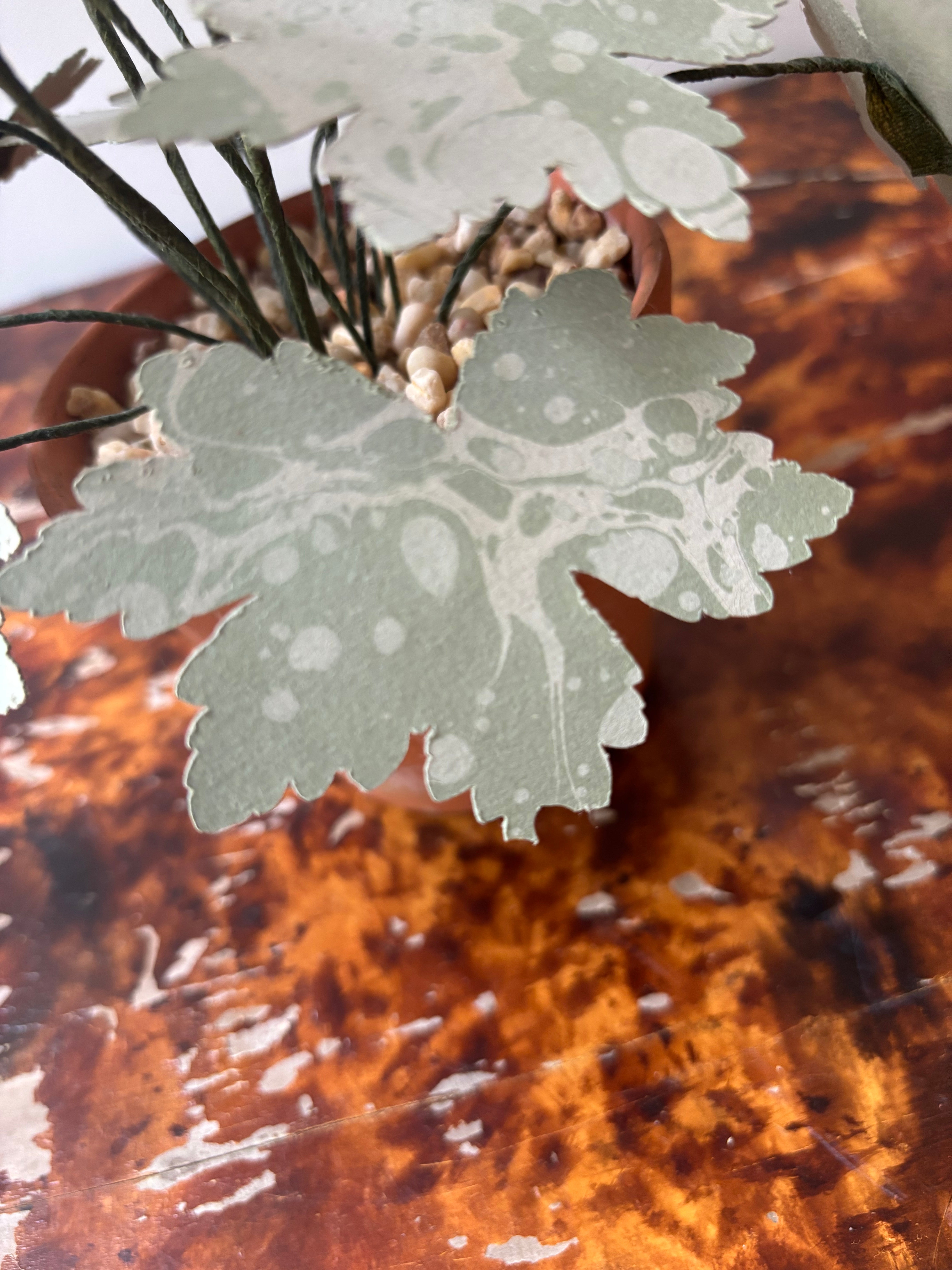 Paper Hardy Geranium - SECOND