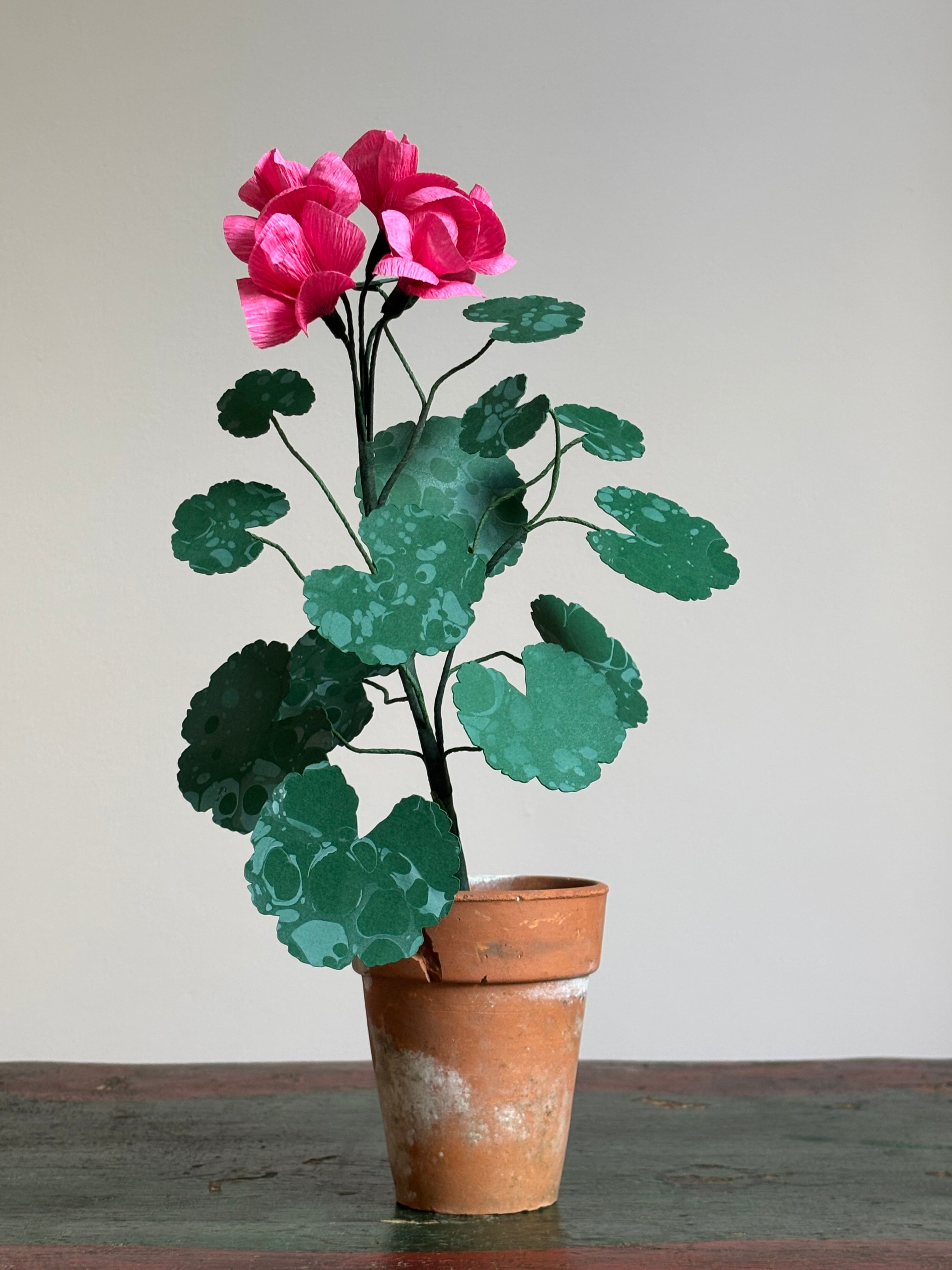 Paper Geranium