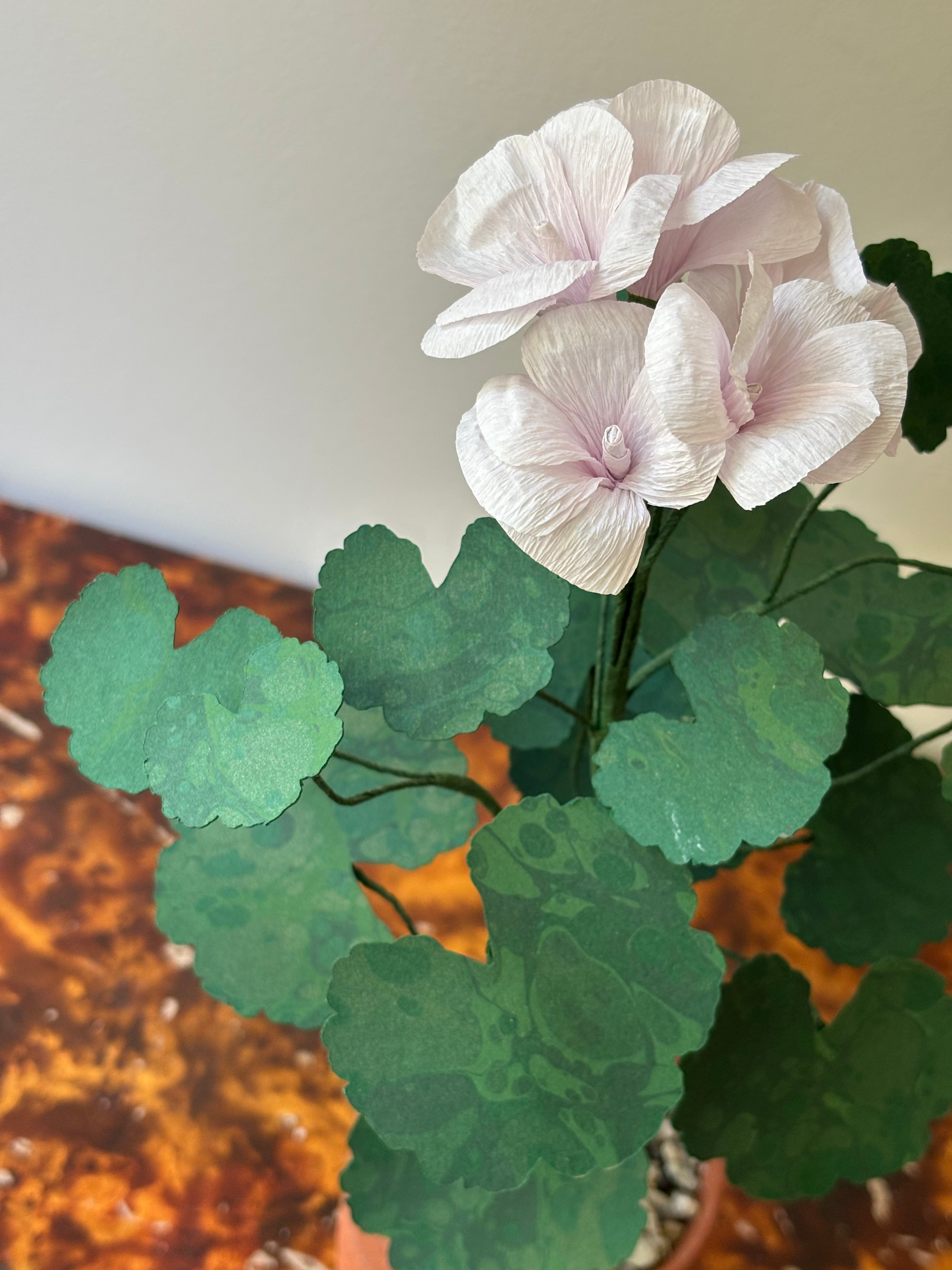Paper Geranium