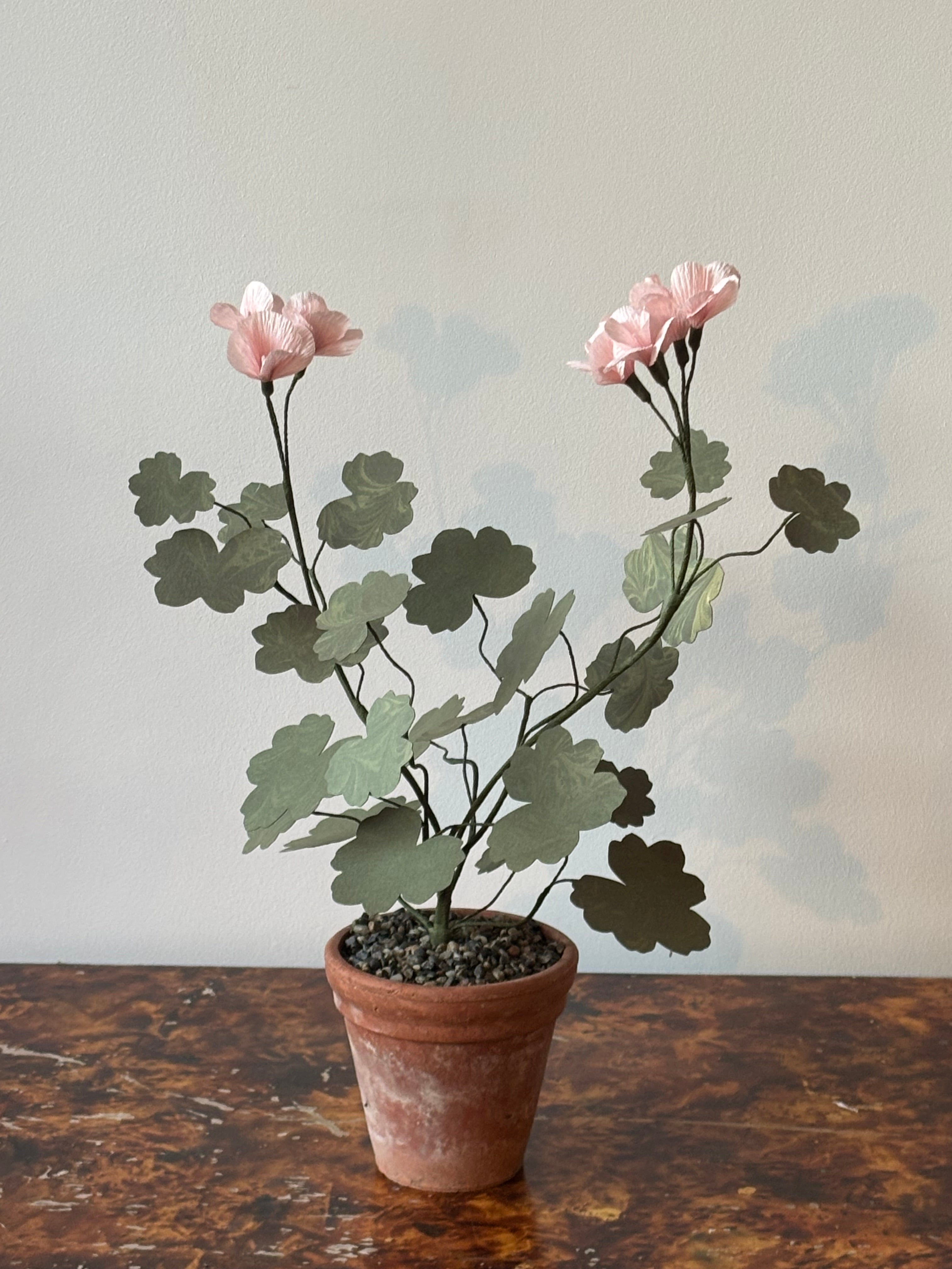 Paper Geranium