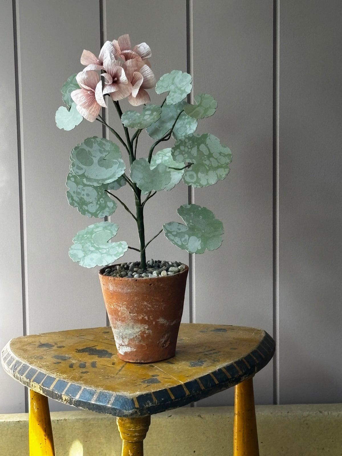 Paper geranium