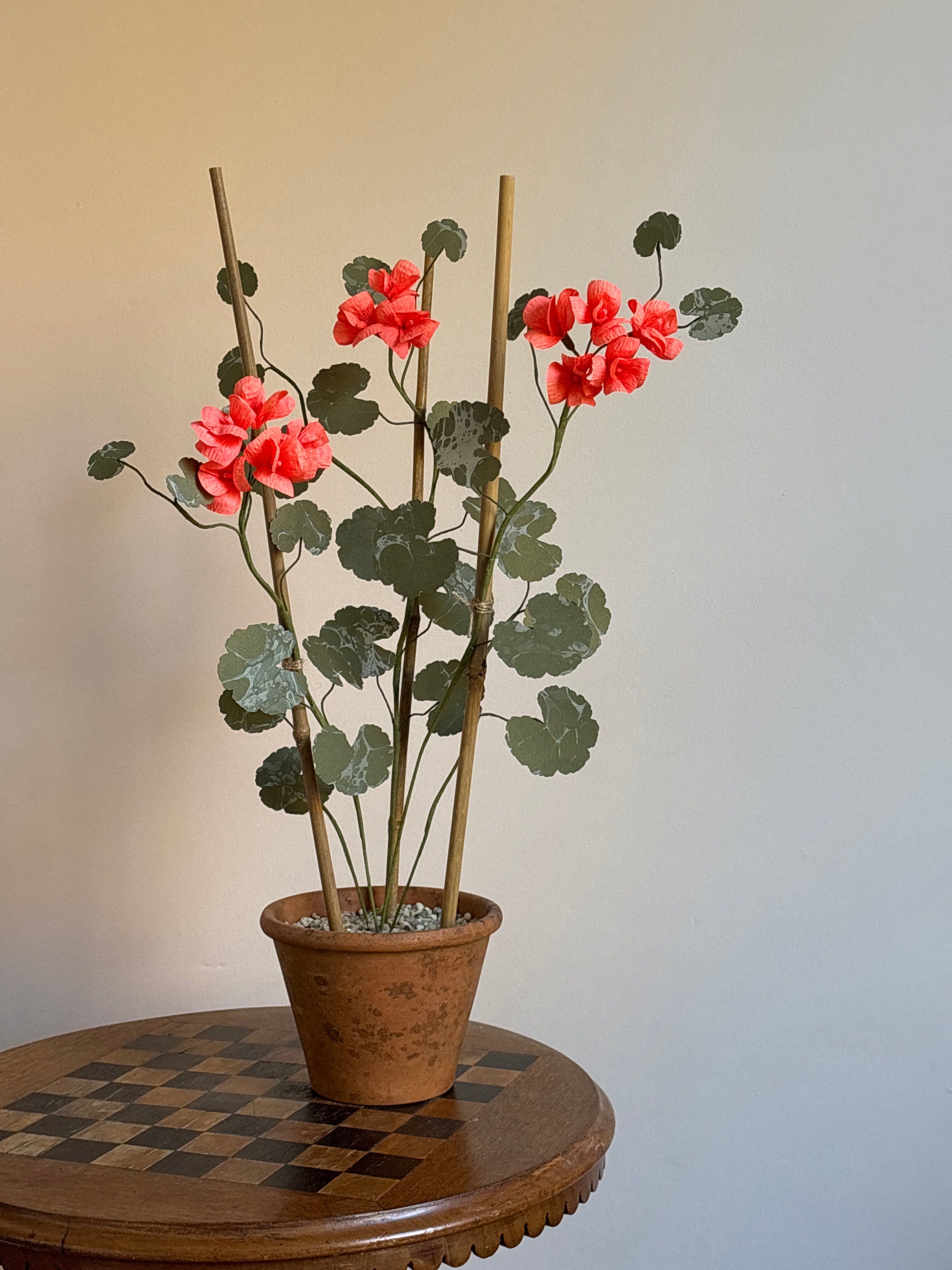 Paper Geranium