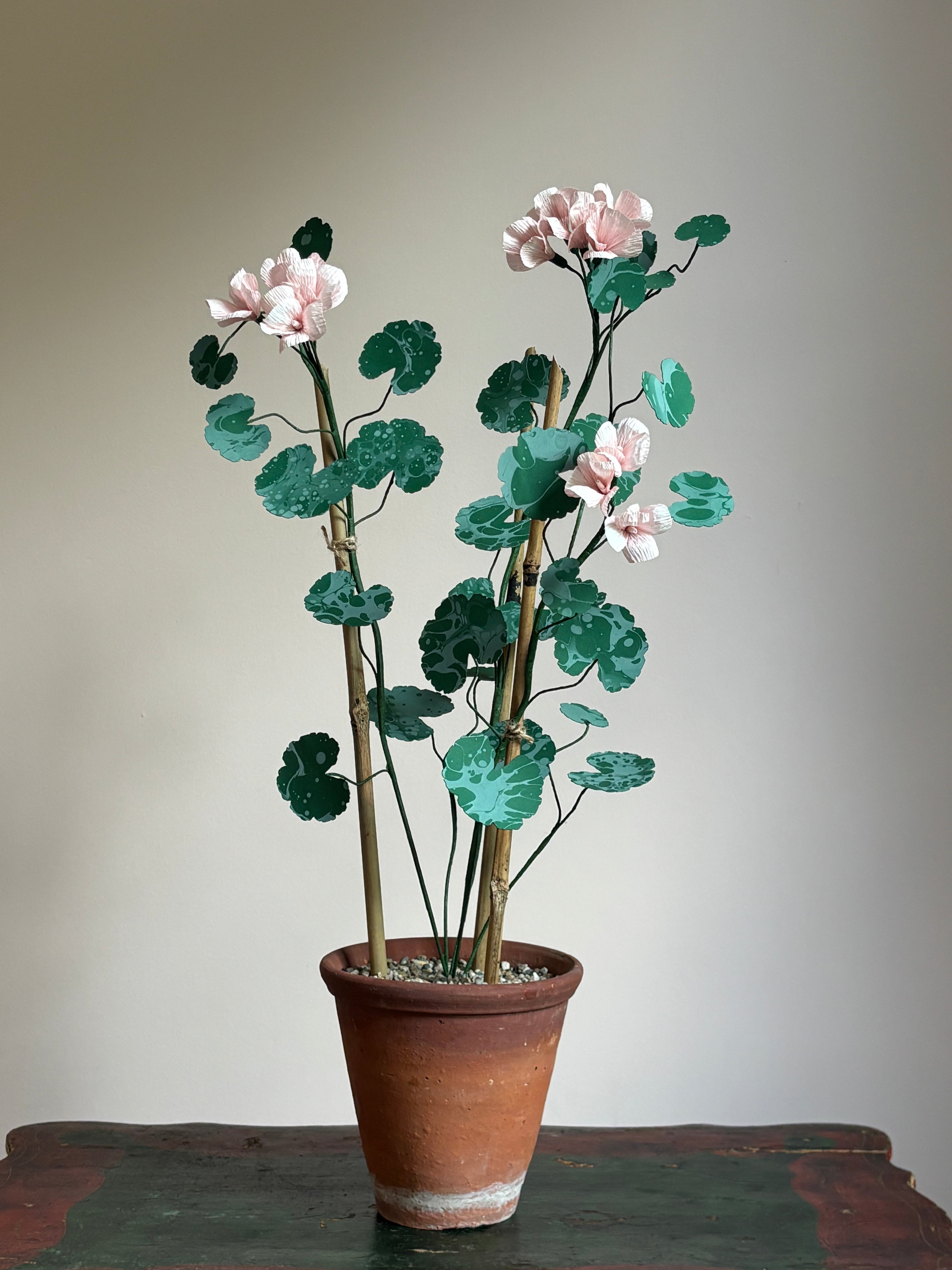 Paper Geranium