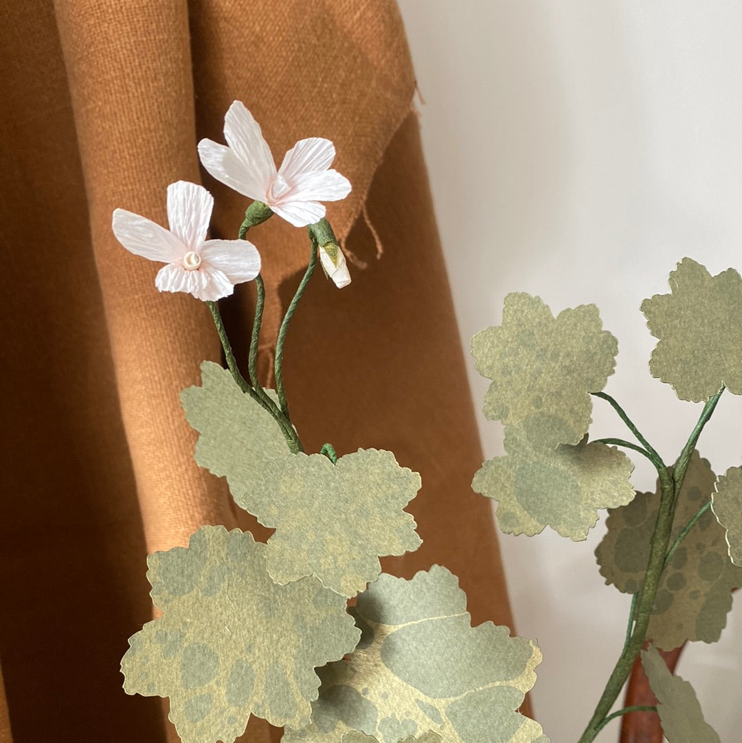 Paper Geranium