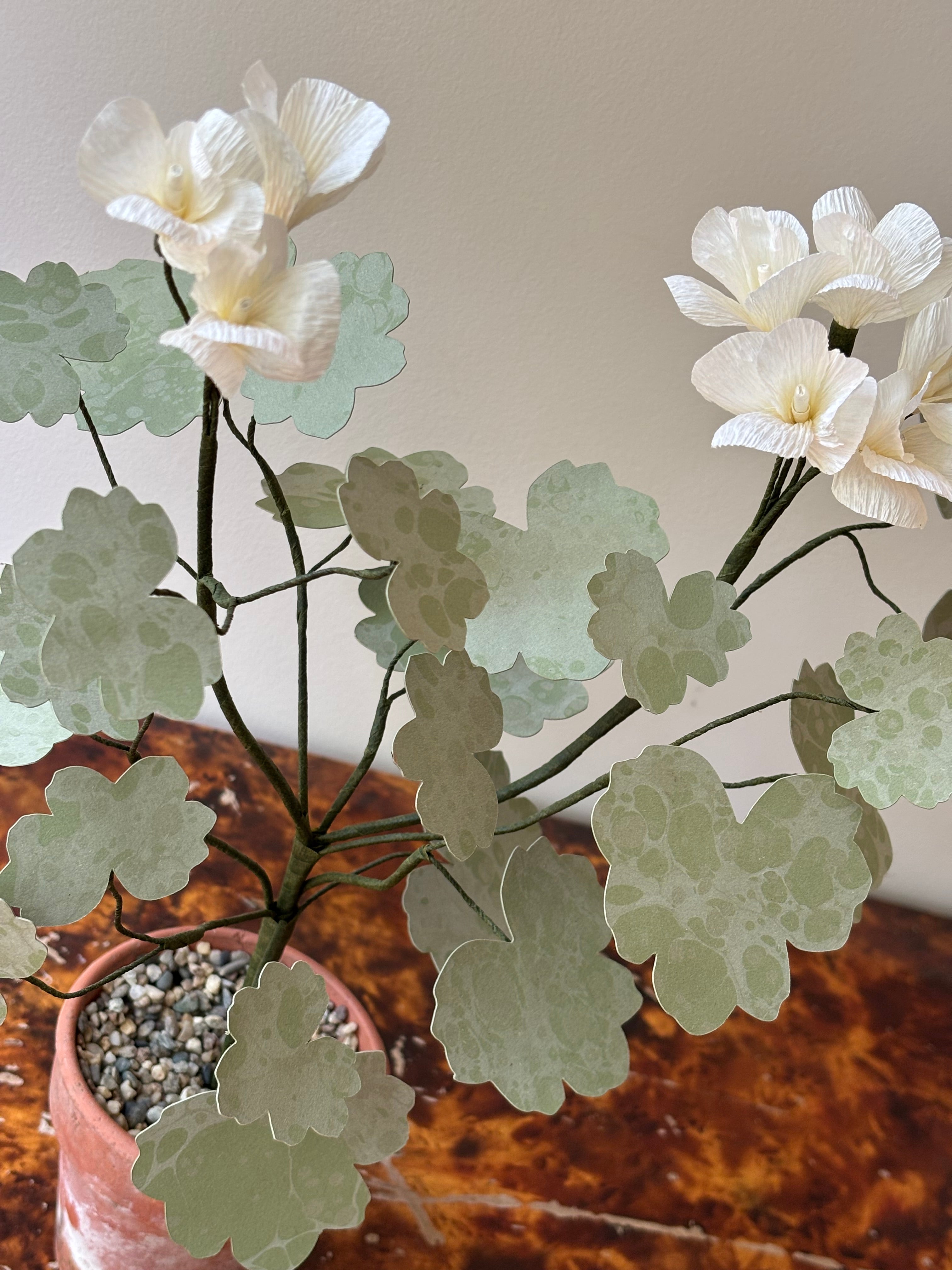 Paper Geranium