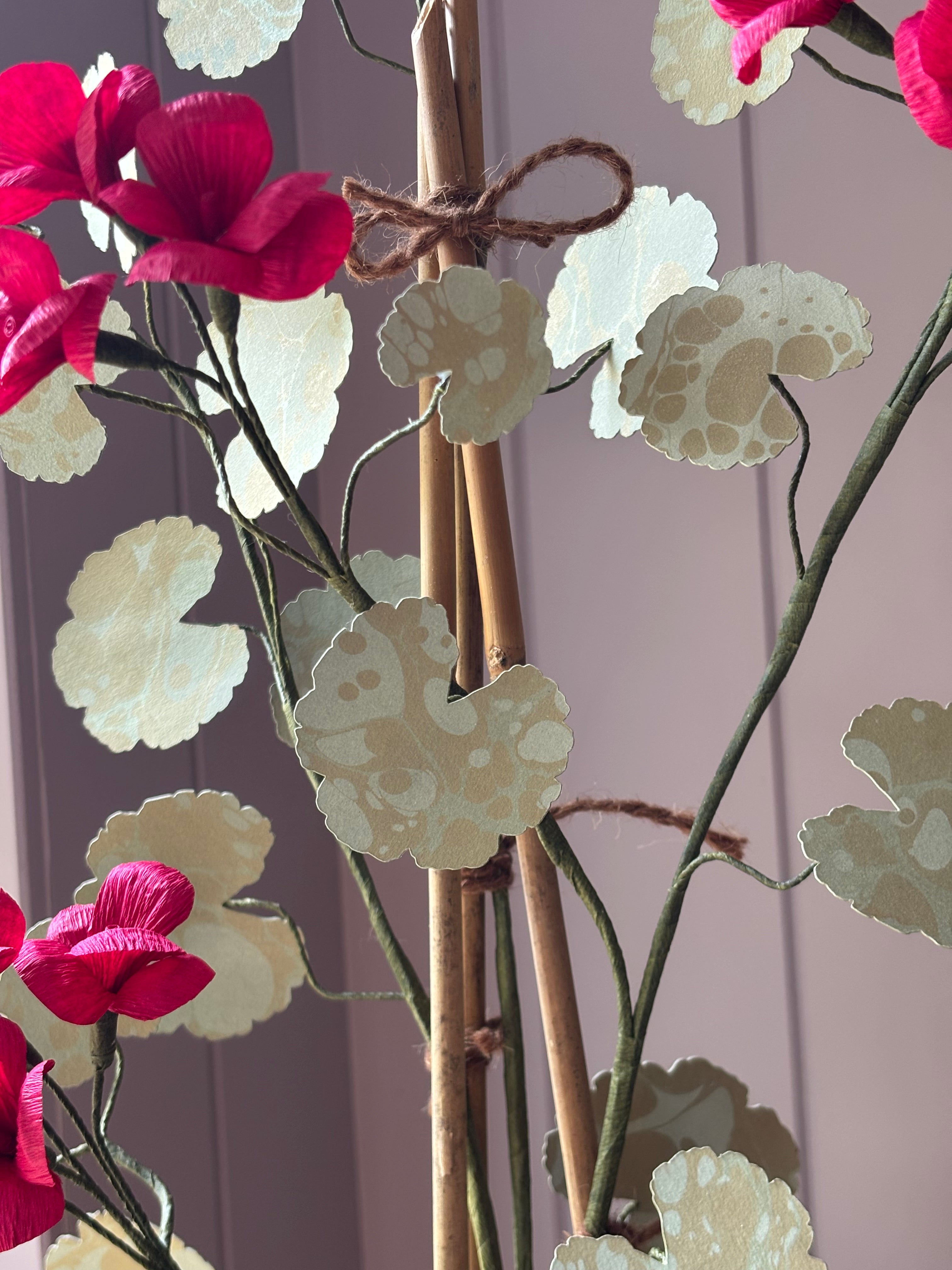 Paper geranium