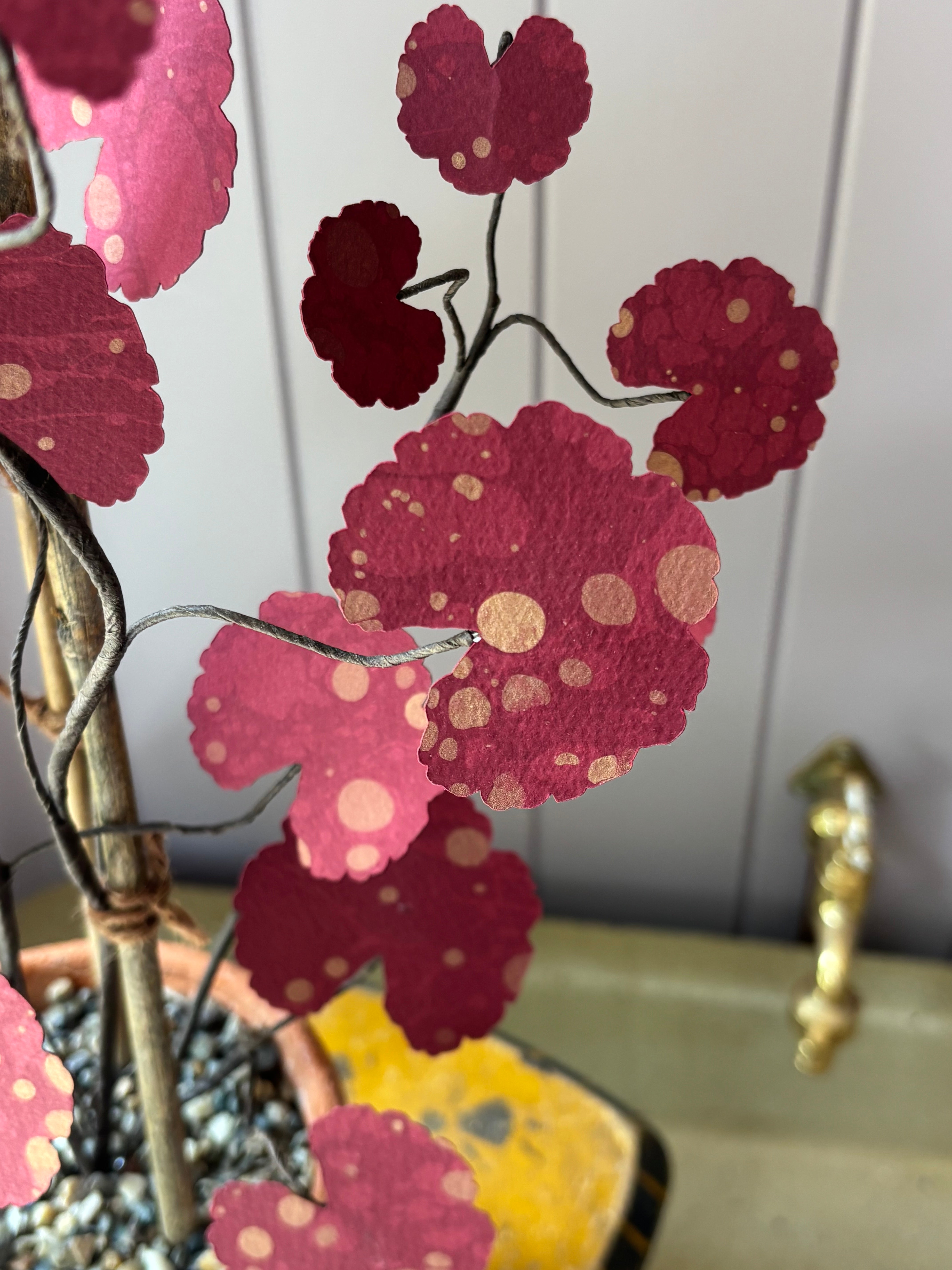 Paper geranium