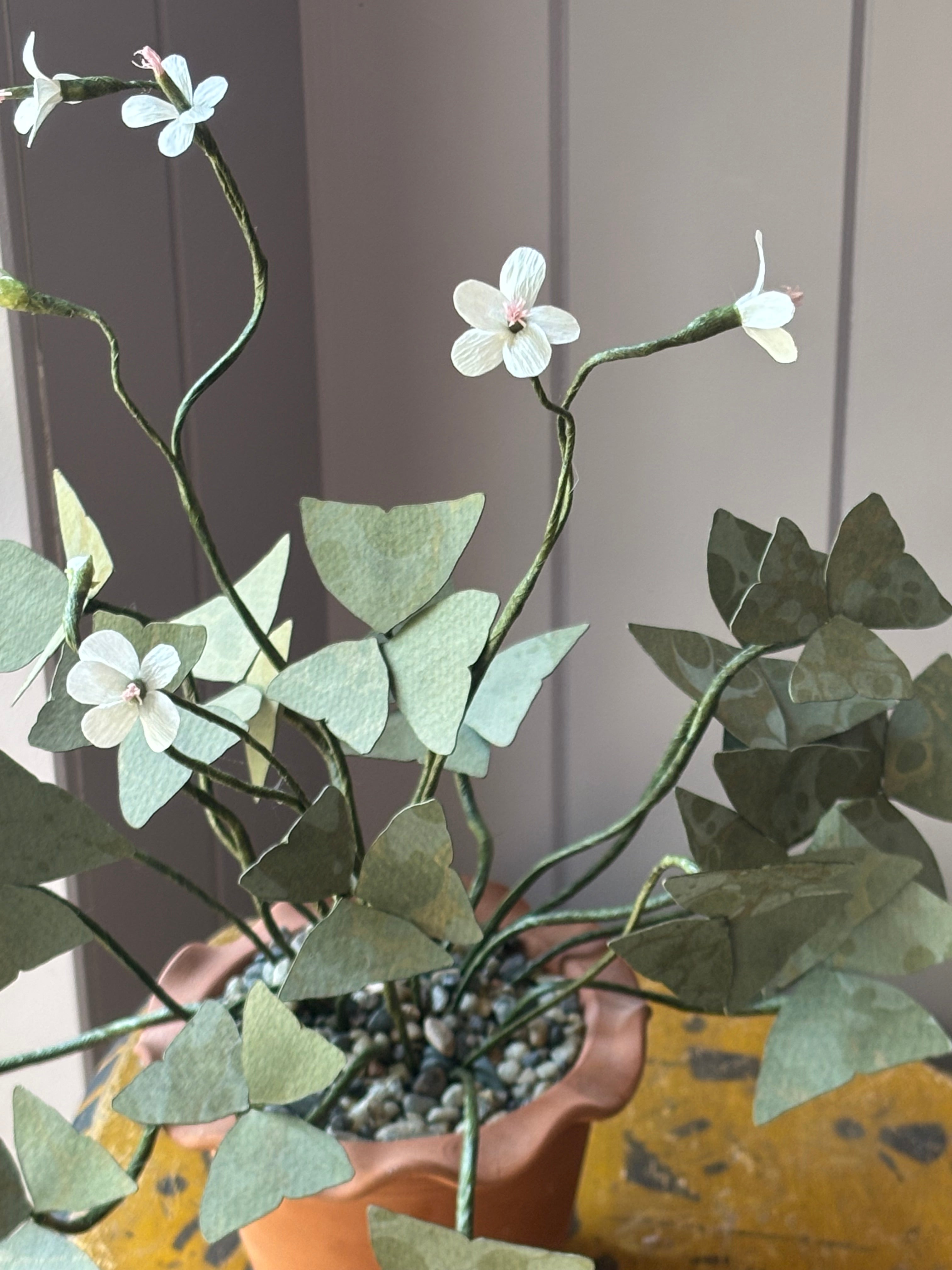 Paper Shamrock in STRAW pot