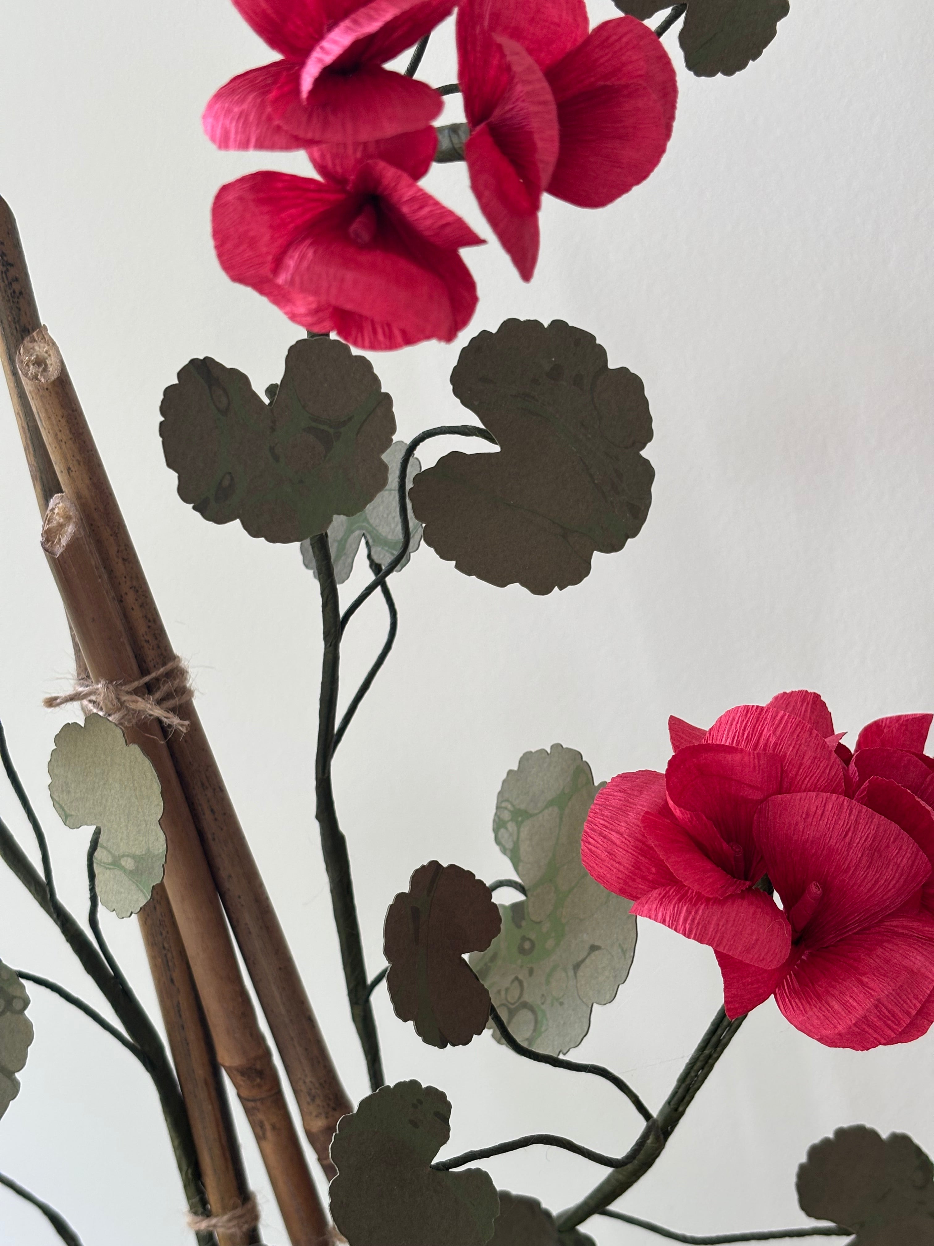 Paper Geranium
