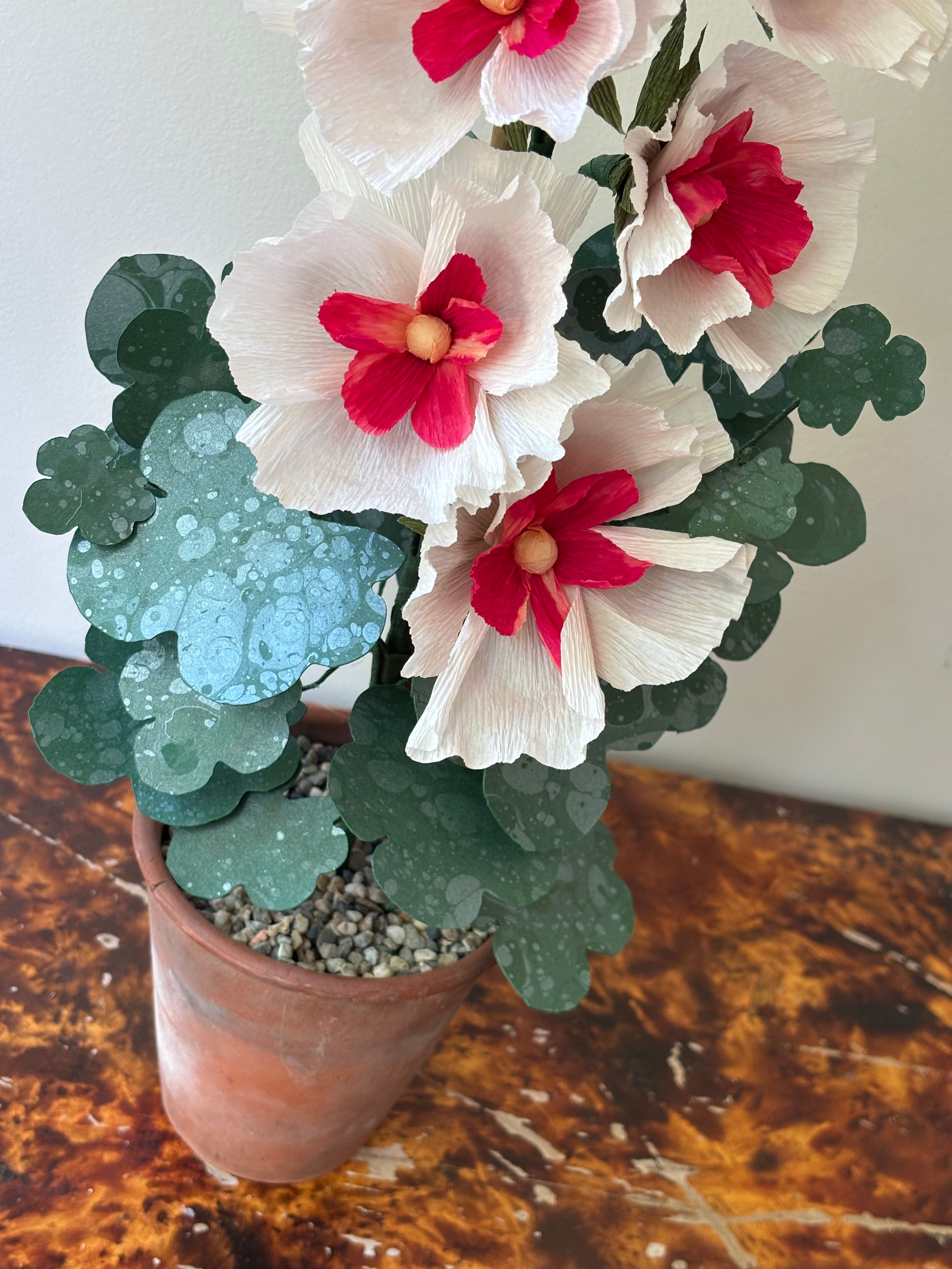 Paper Hollyhock