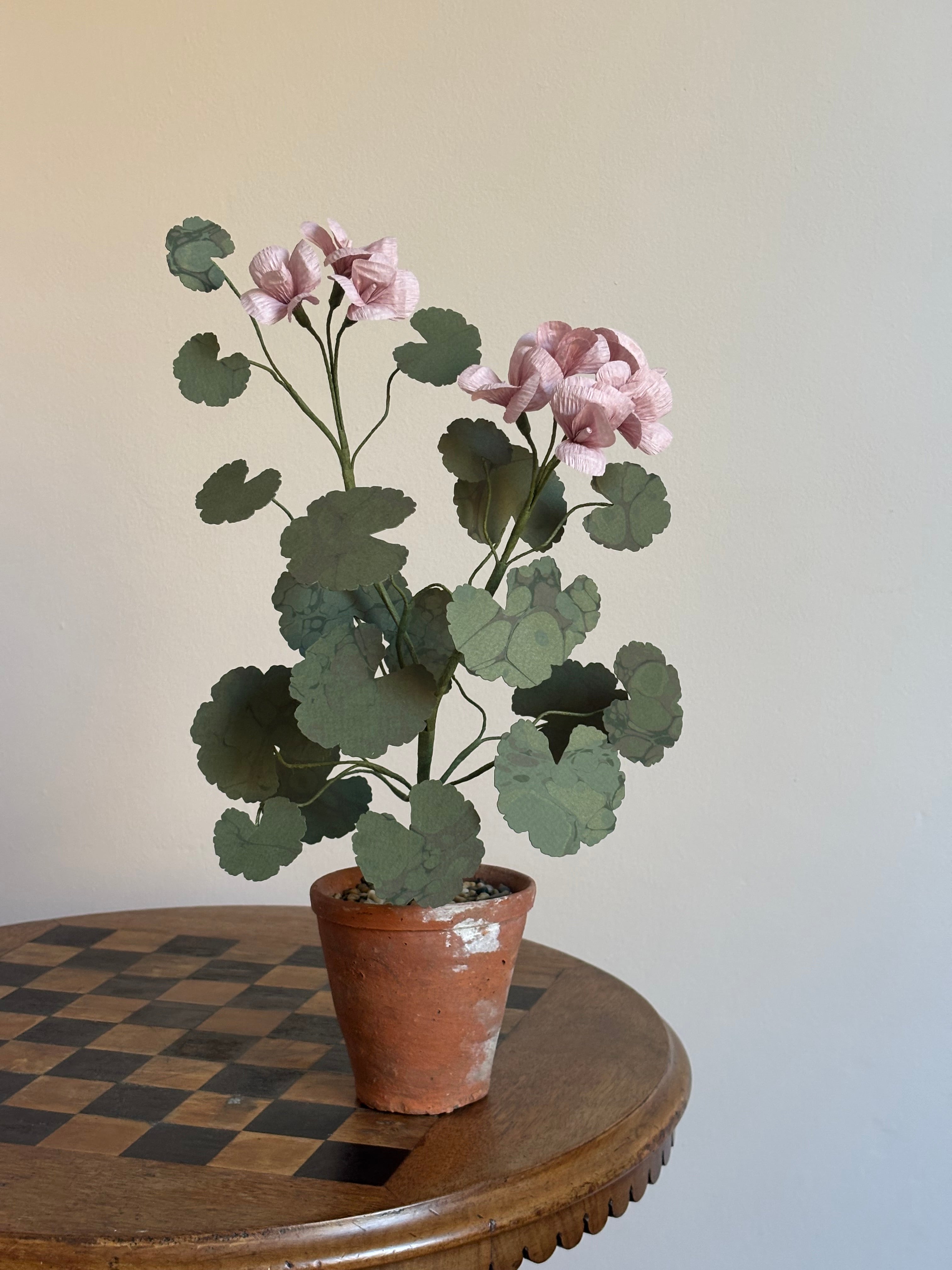 Paper Geranium
