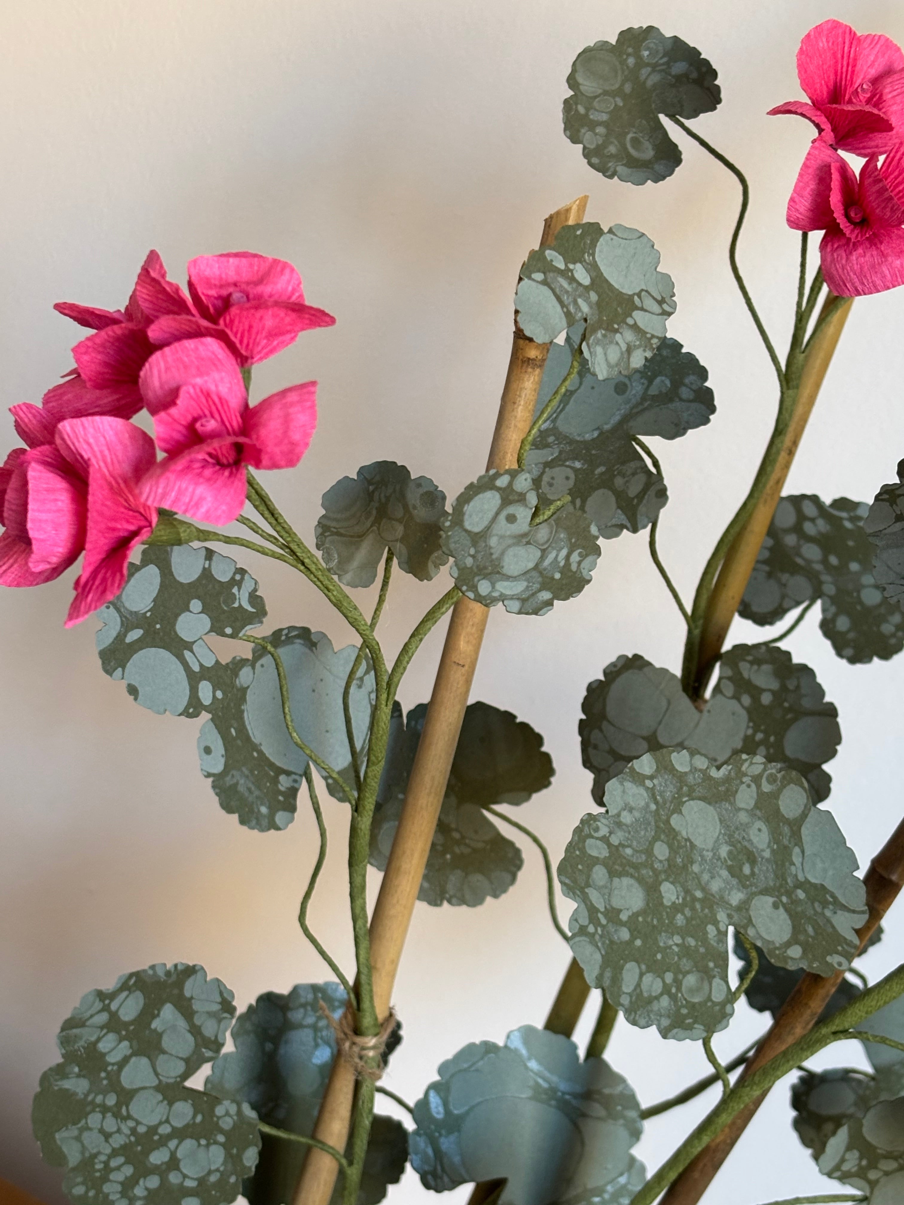 Paper Geranium