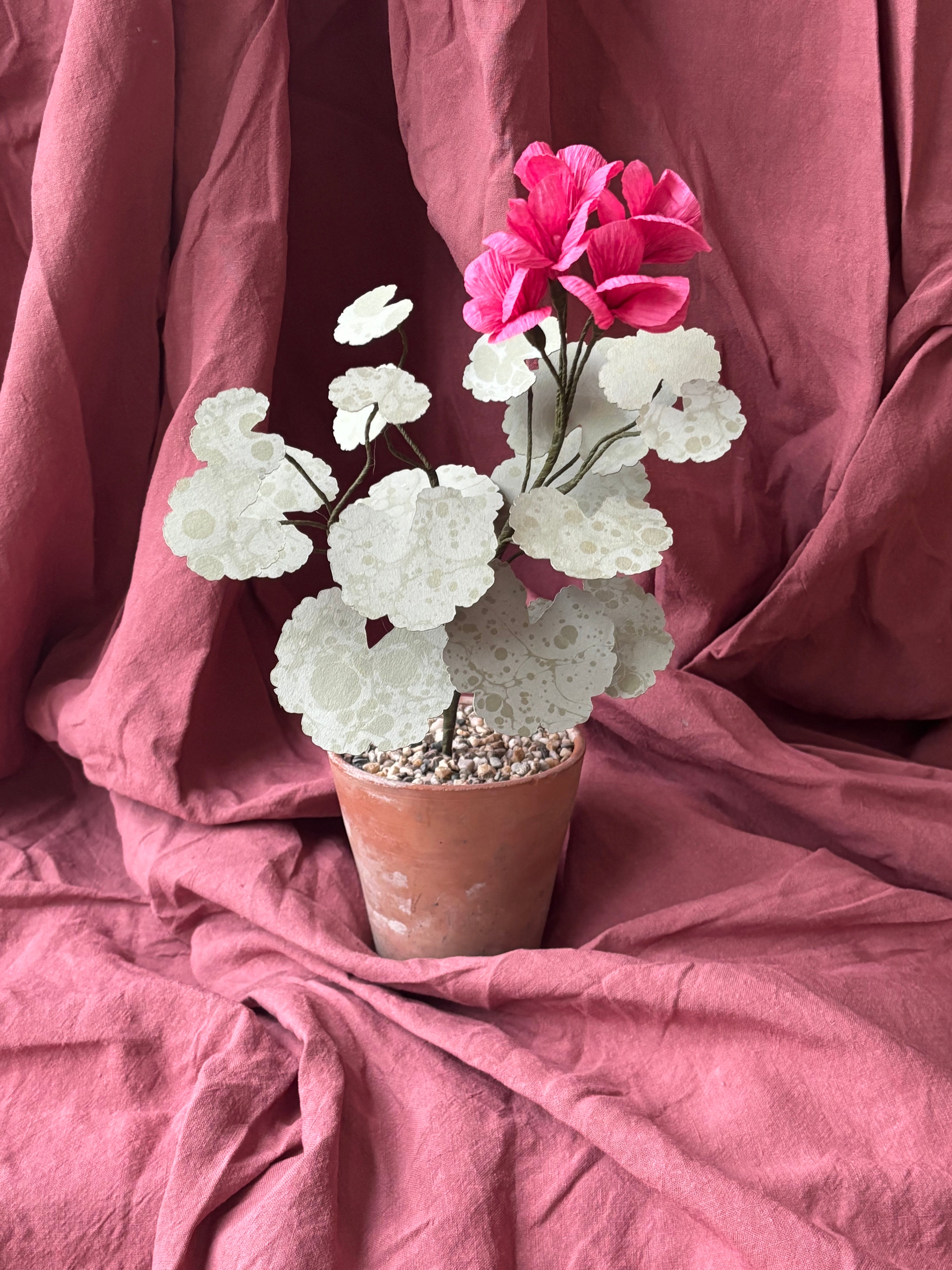 Paper Geranium