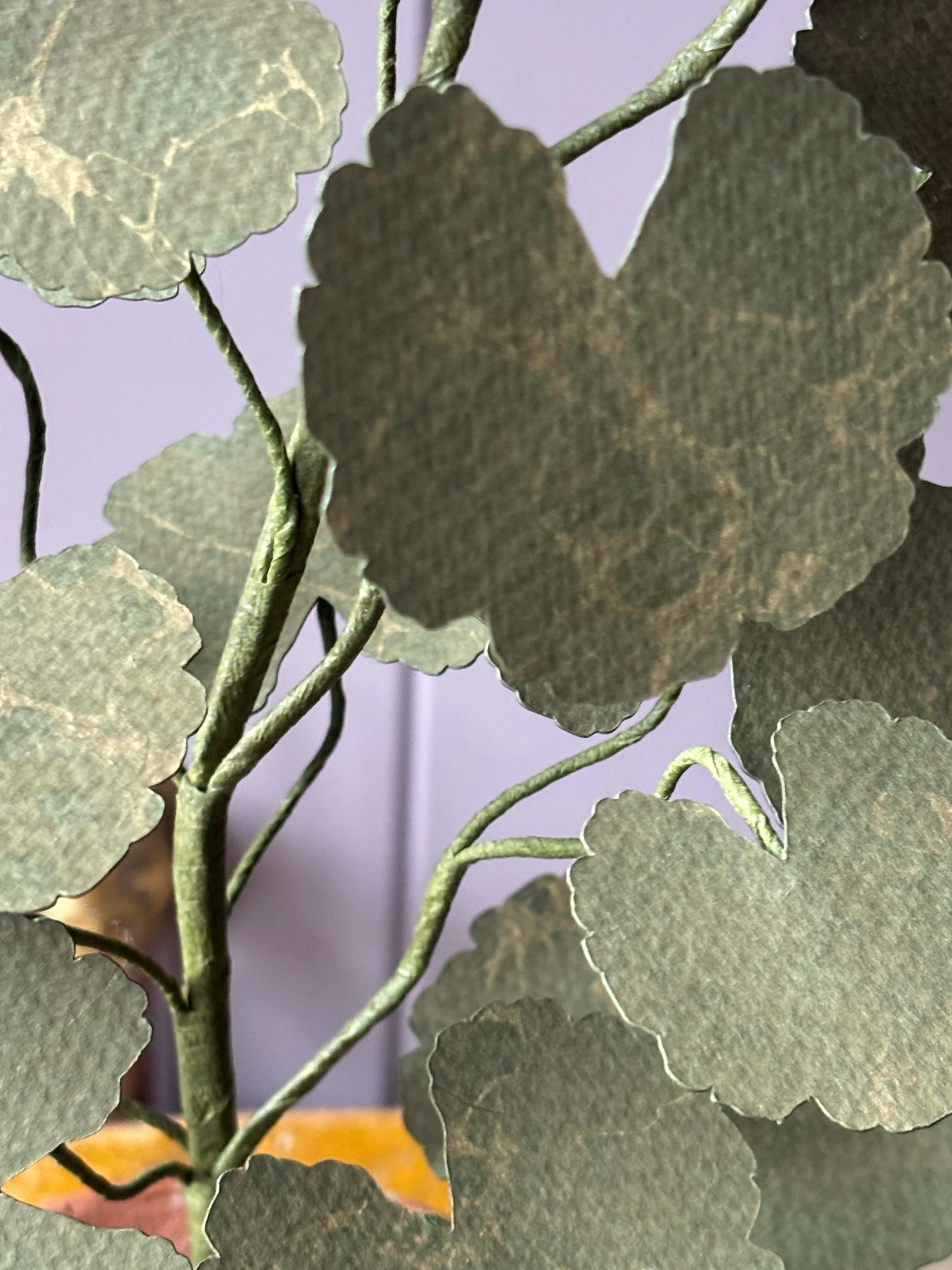 Paper Geranium