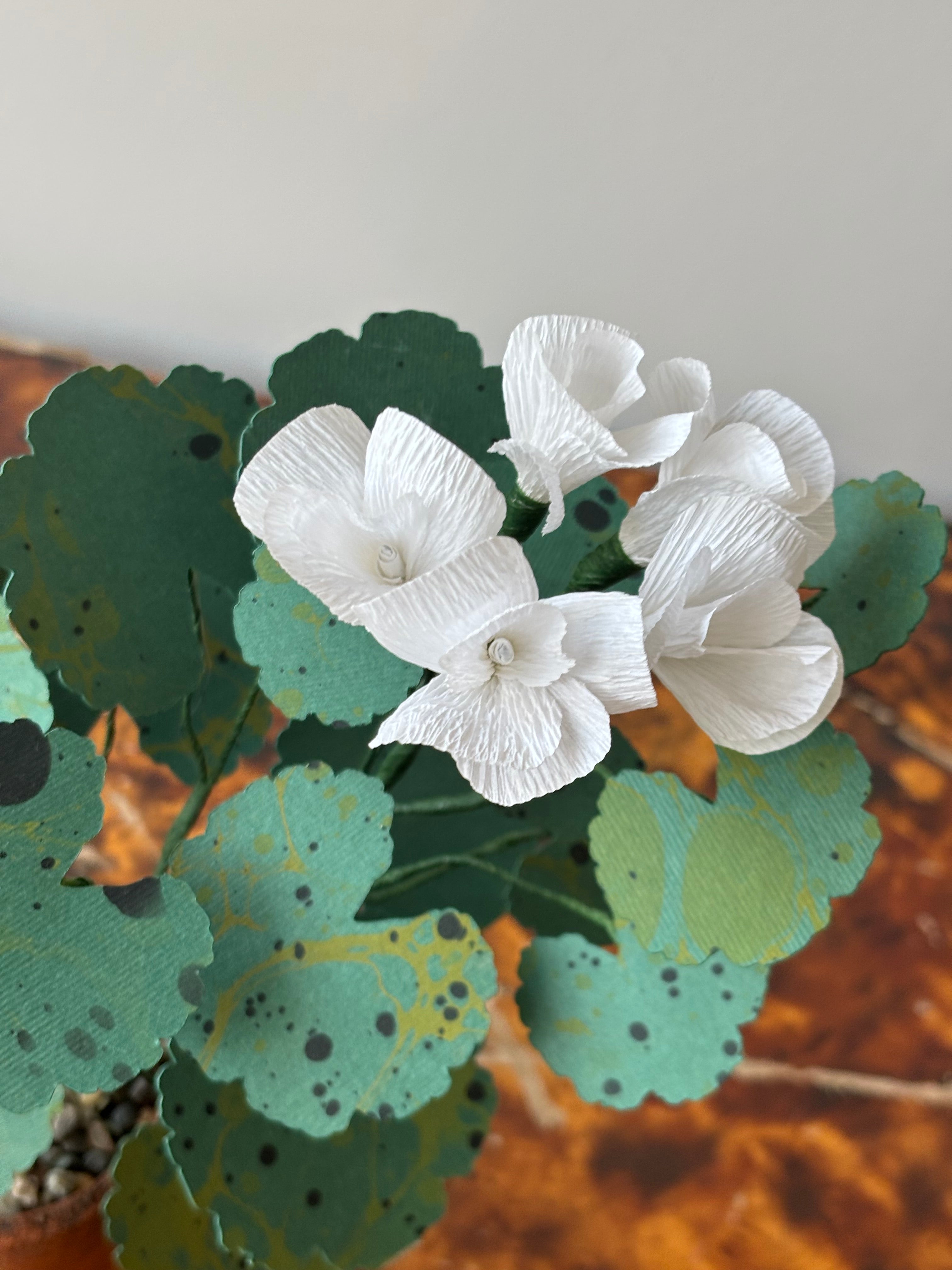 Paper Geranium