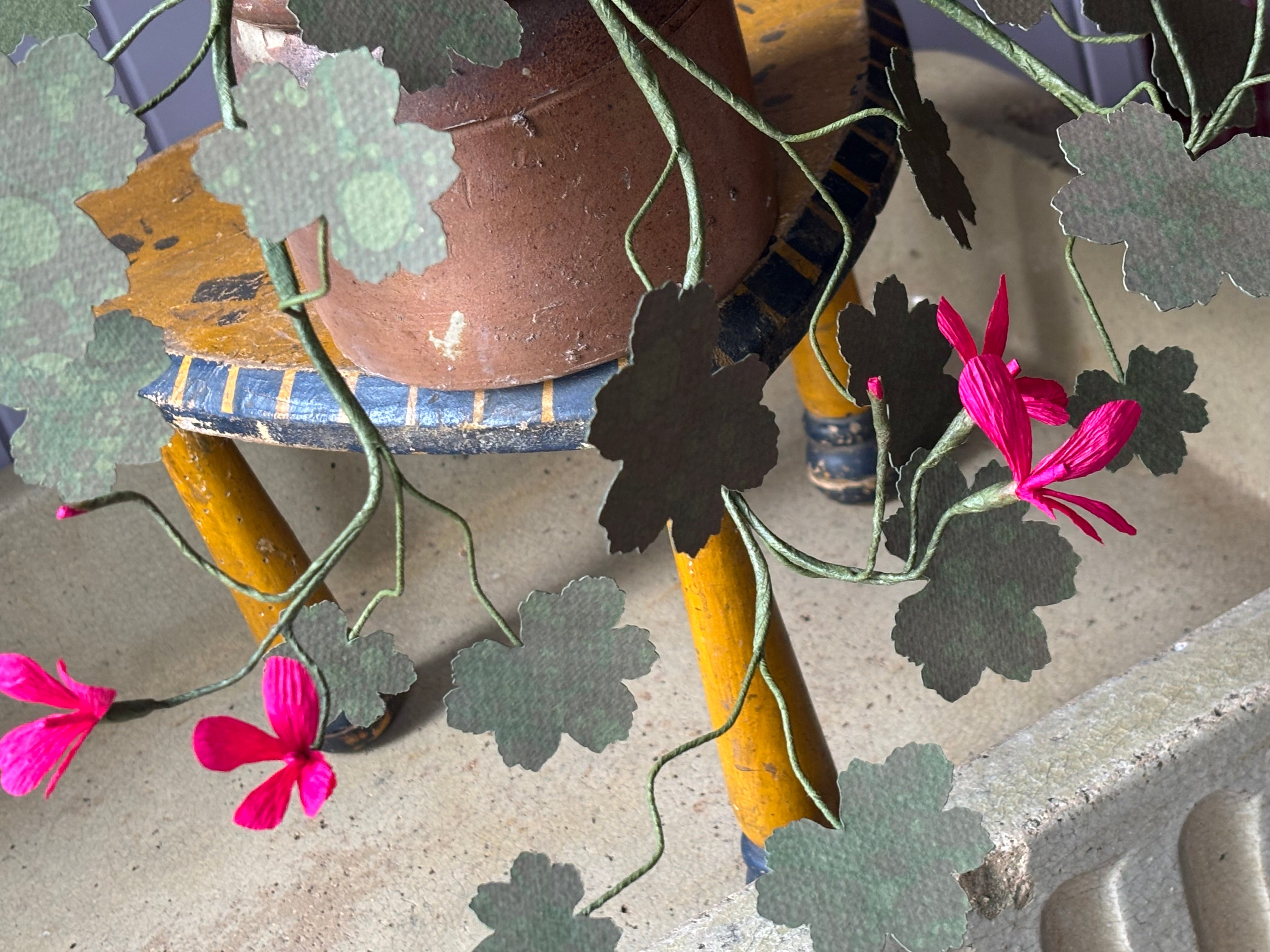 Paper geranium