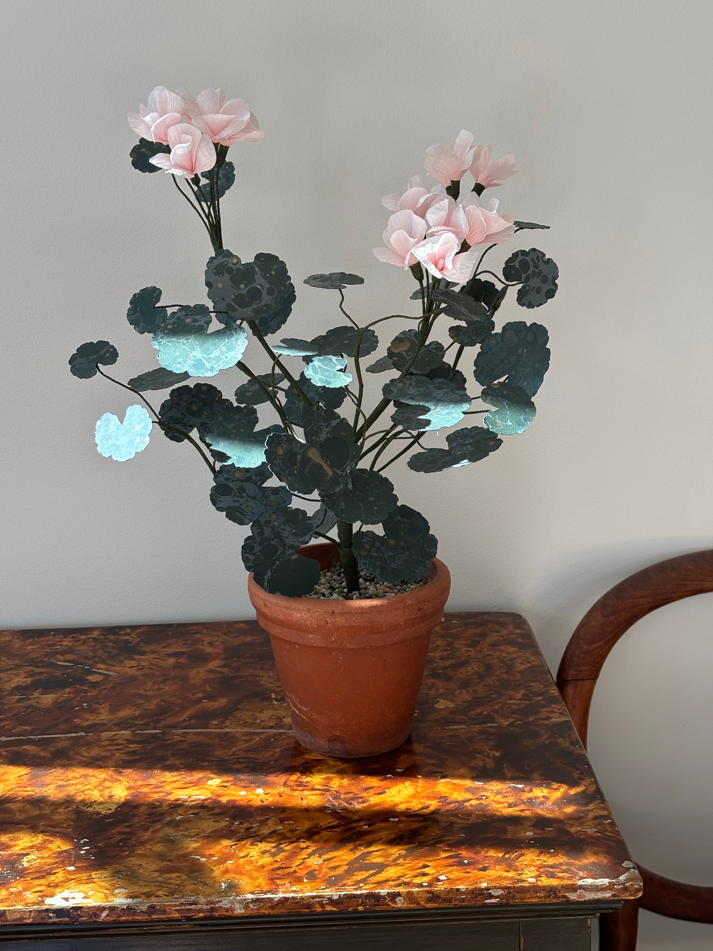 Paper Geranium